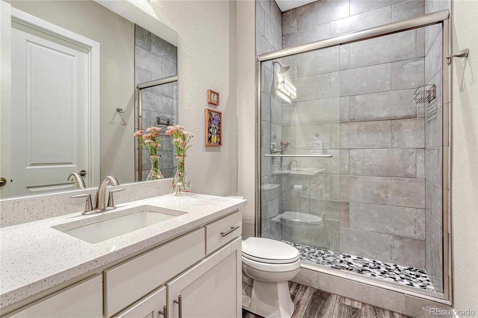 MLS Image #29 for 815  alumroot street,castle rock, Colorado