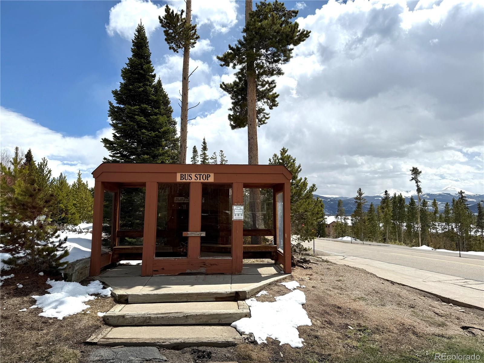 MLS Image #31 for 91300  ryan gulch road,silverthorne, Colorado