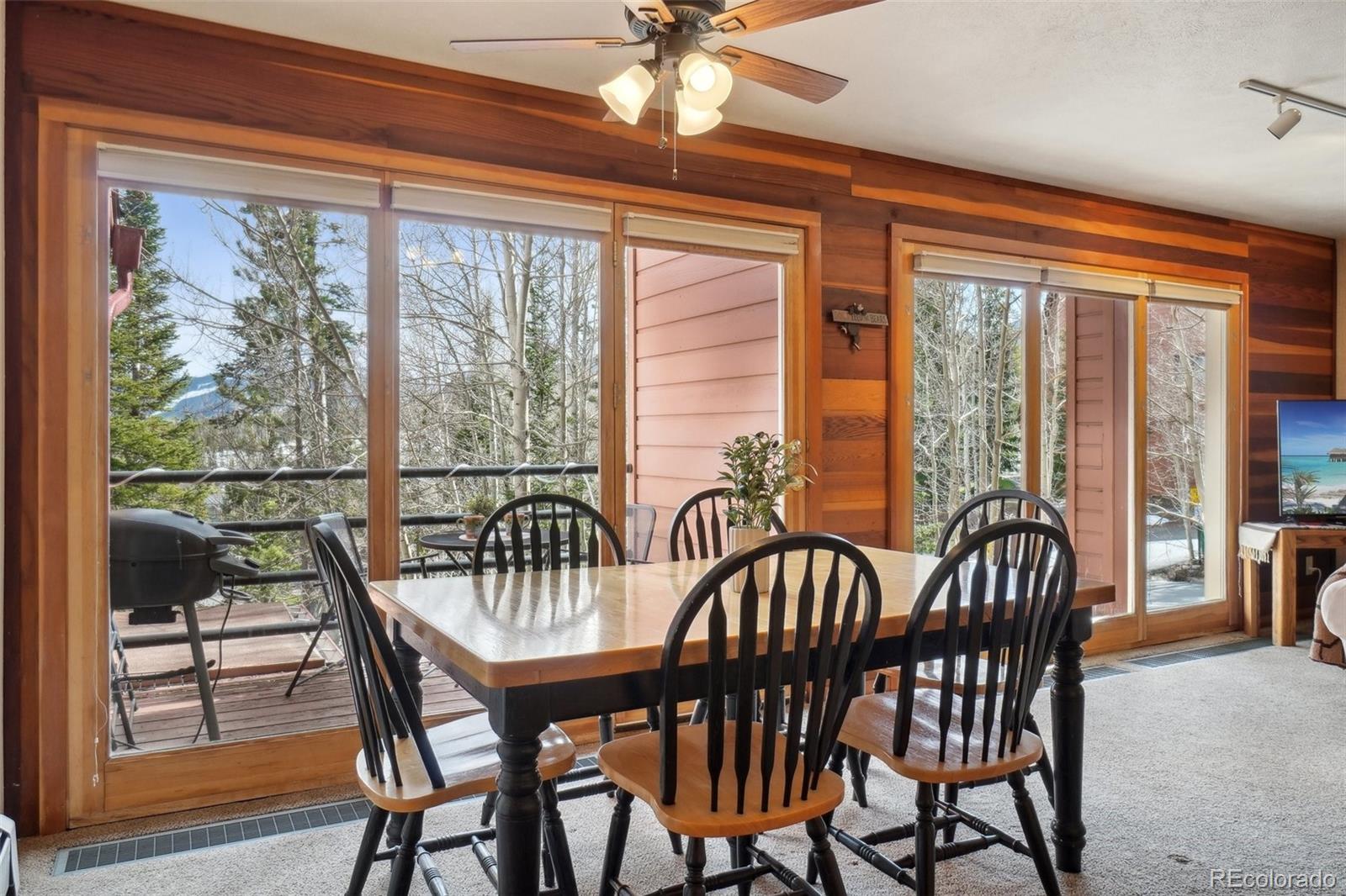 MLS Image #7 for 91300  ryan gulch road,silverthorne, Colorado