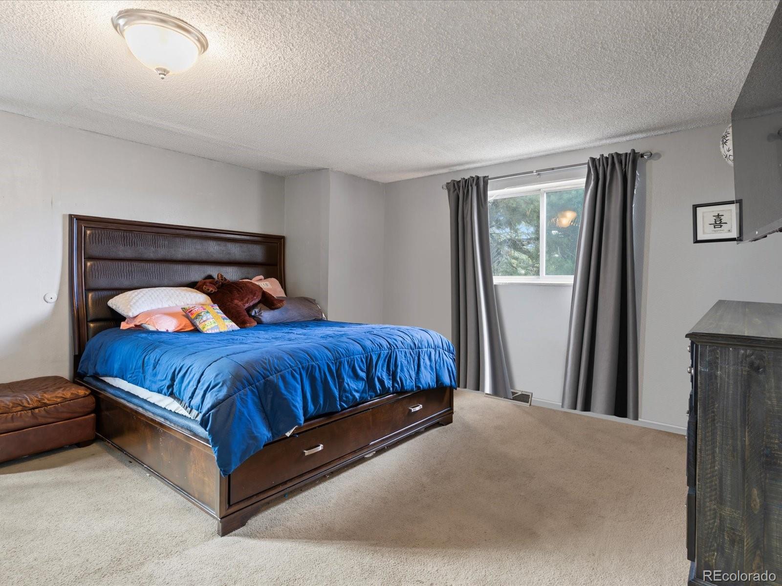 MLS Image #13 for 416  pluto court,lone tree, Colorado
