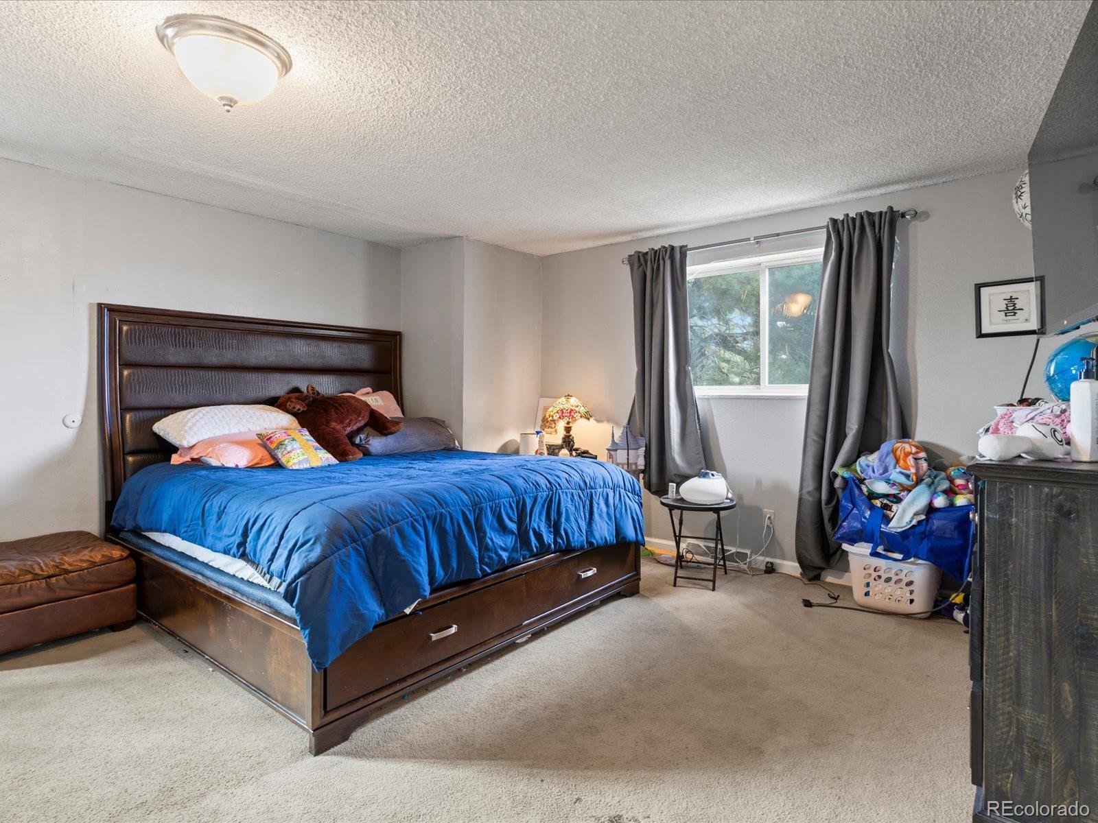 MLS Image #14 for 416  pluto court,lone tree, Colorado