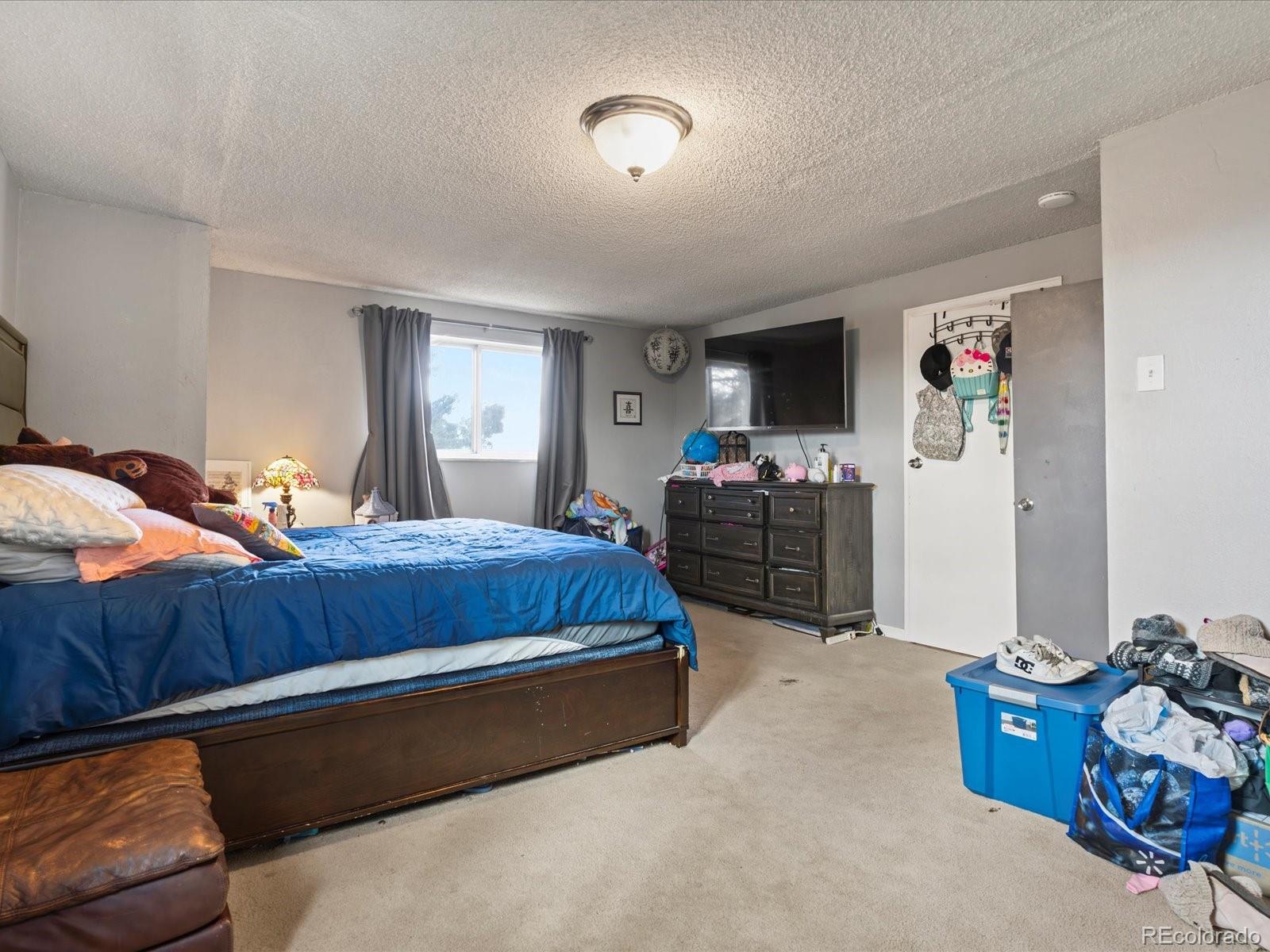 MLS Image #16 for 416  pluto court,lone tree, Colorado