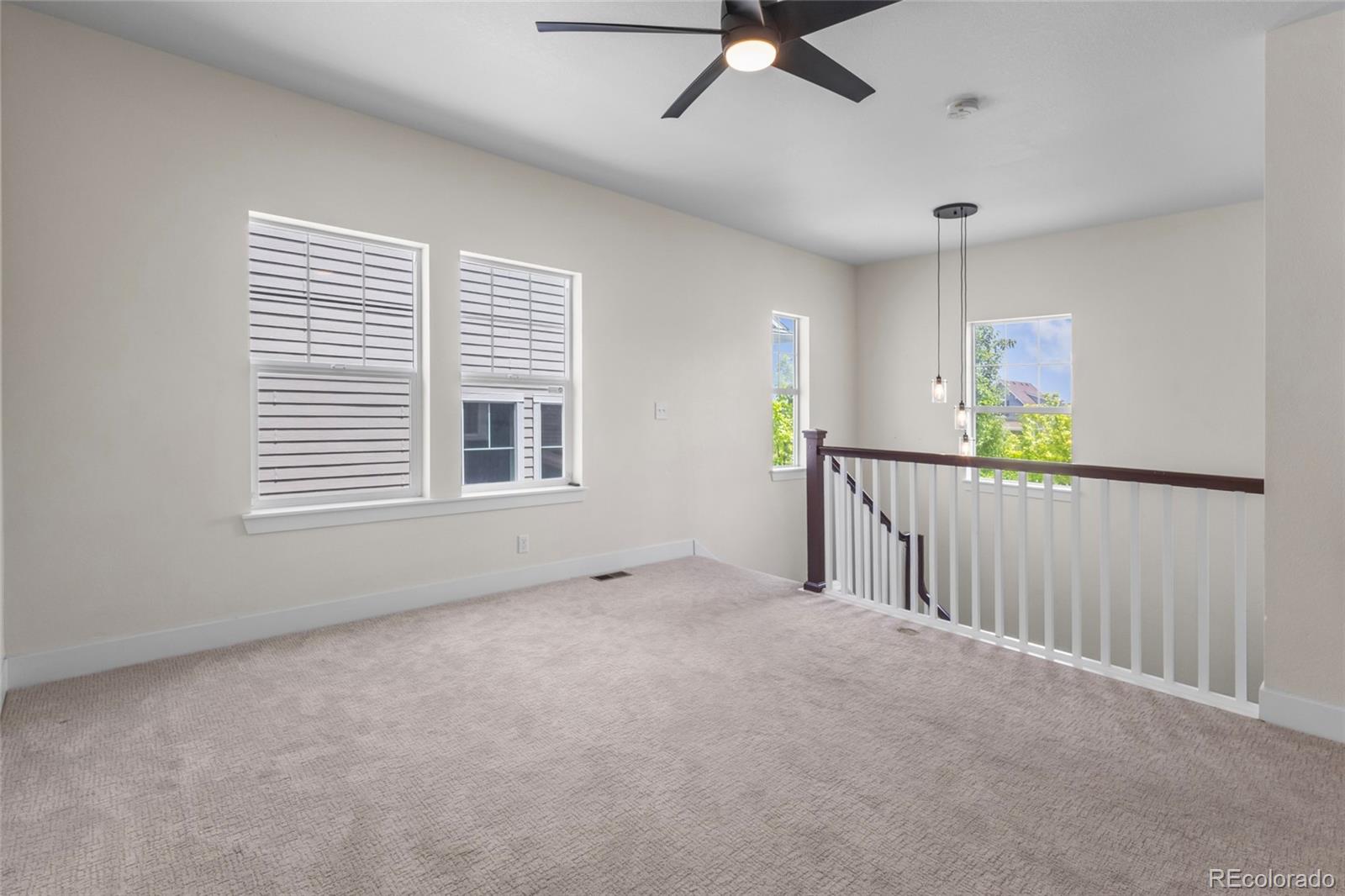 MLS Image #15 for 3529  xanthia court,denver, Colorado