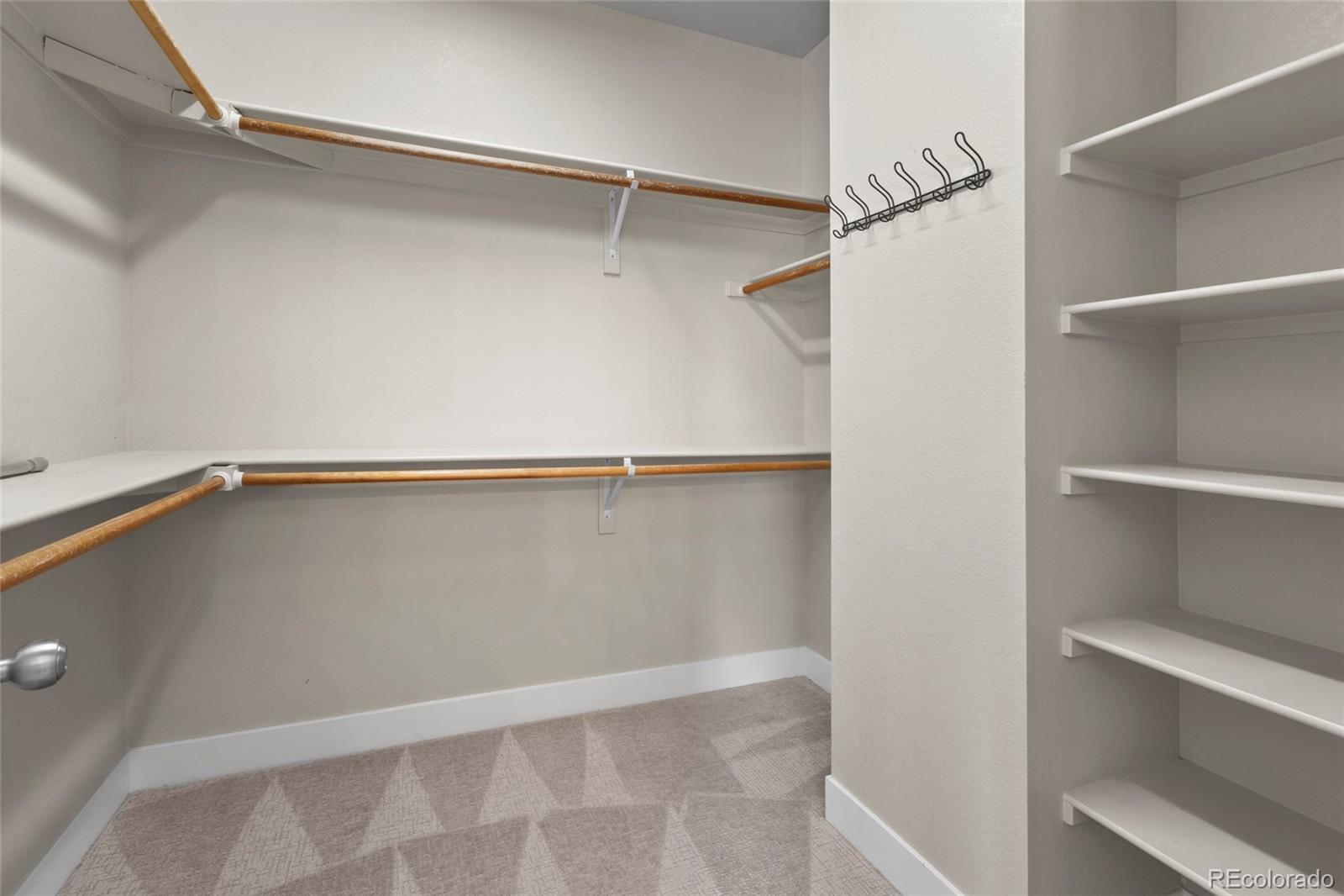 MLS Image #19 for 3529  xanthia court,denver, Colorado