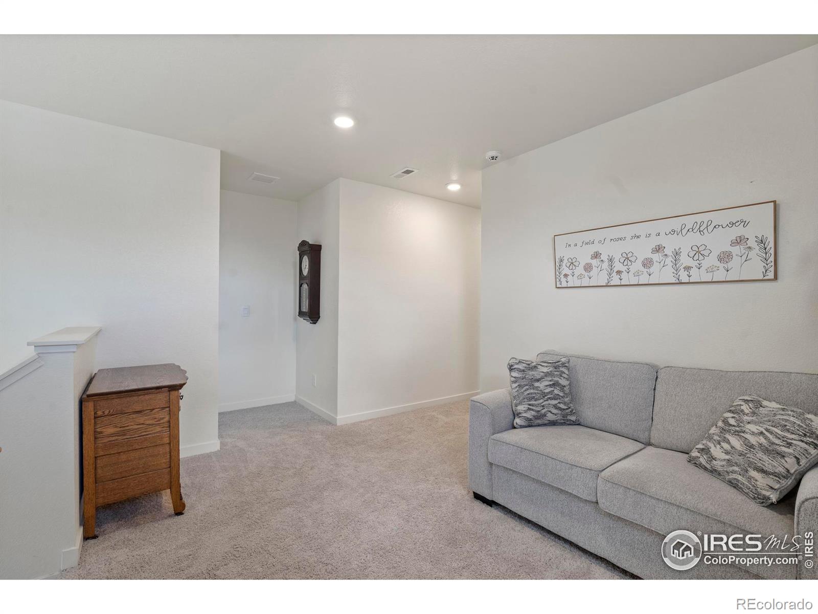 MLS Image #15 for 3759  catmint street,wellington, Colorado