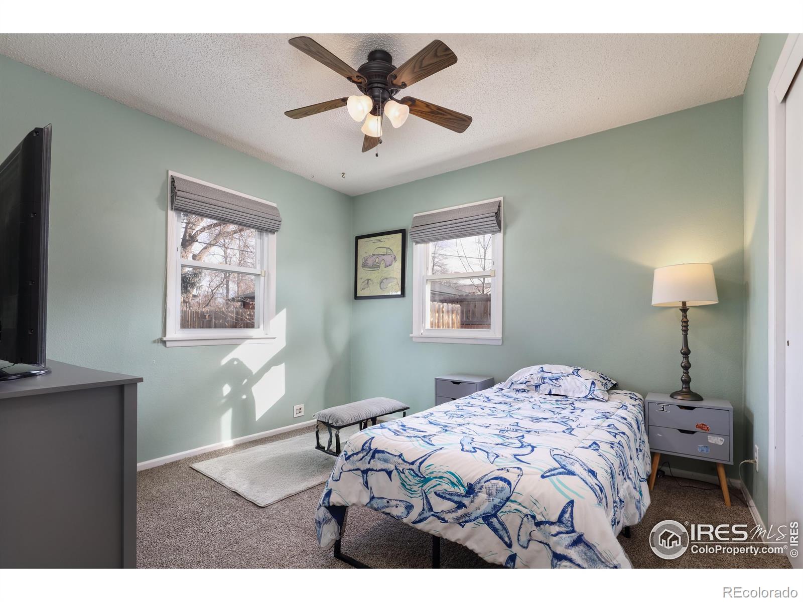 MLS Image #11 for 1148  gay street,longmont, Colorado