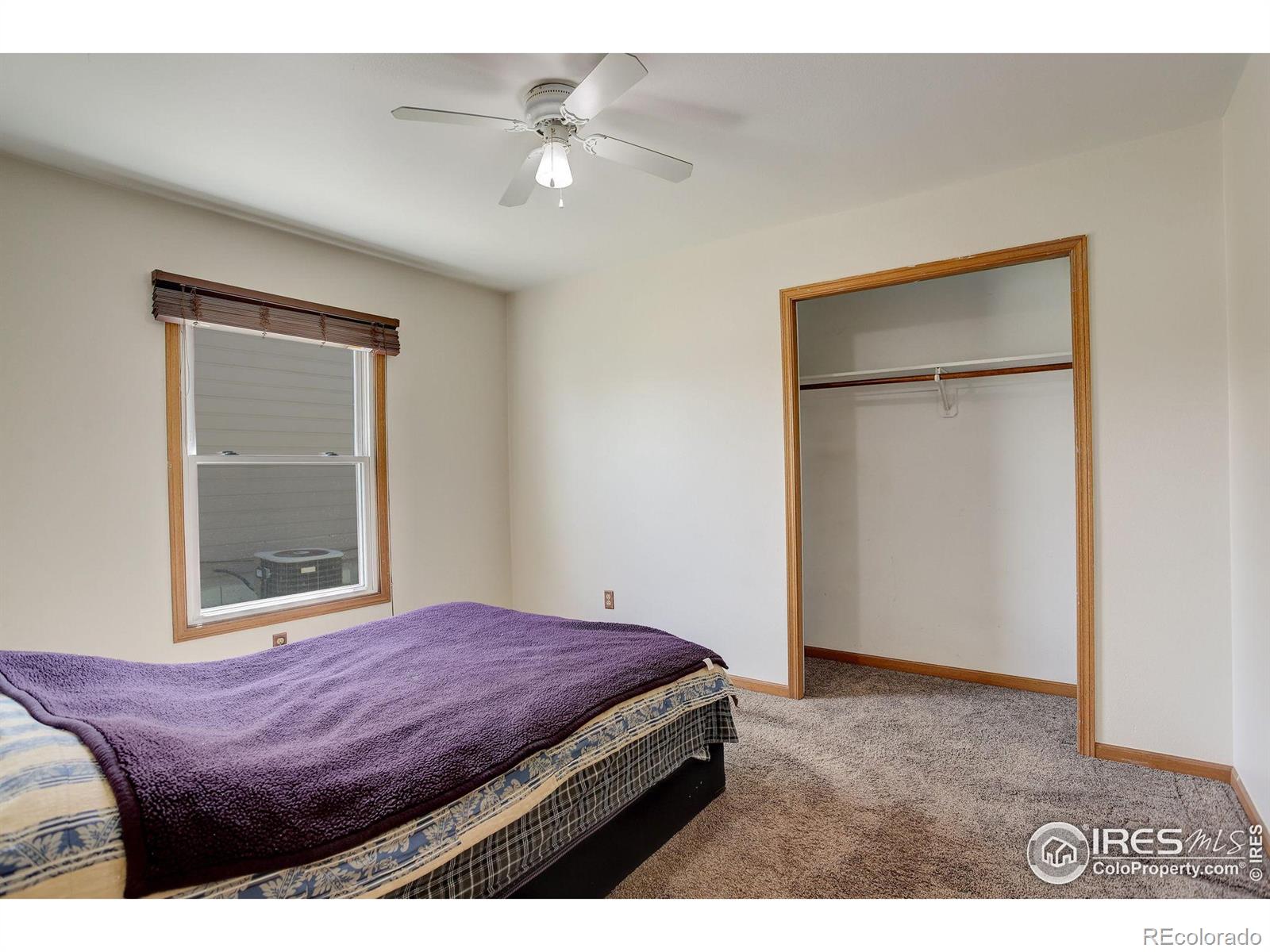 MLS Image #22 for 201  valley court,windsor, Colorado