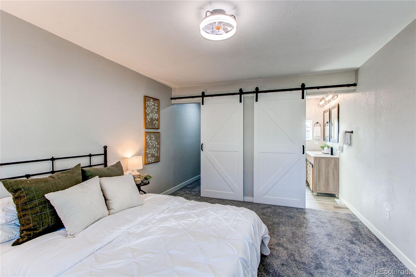 MLS Image #13 for 280  birch street,bennett, Colorado