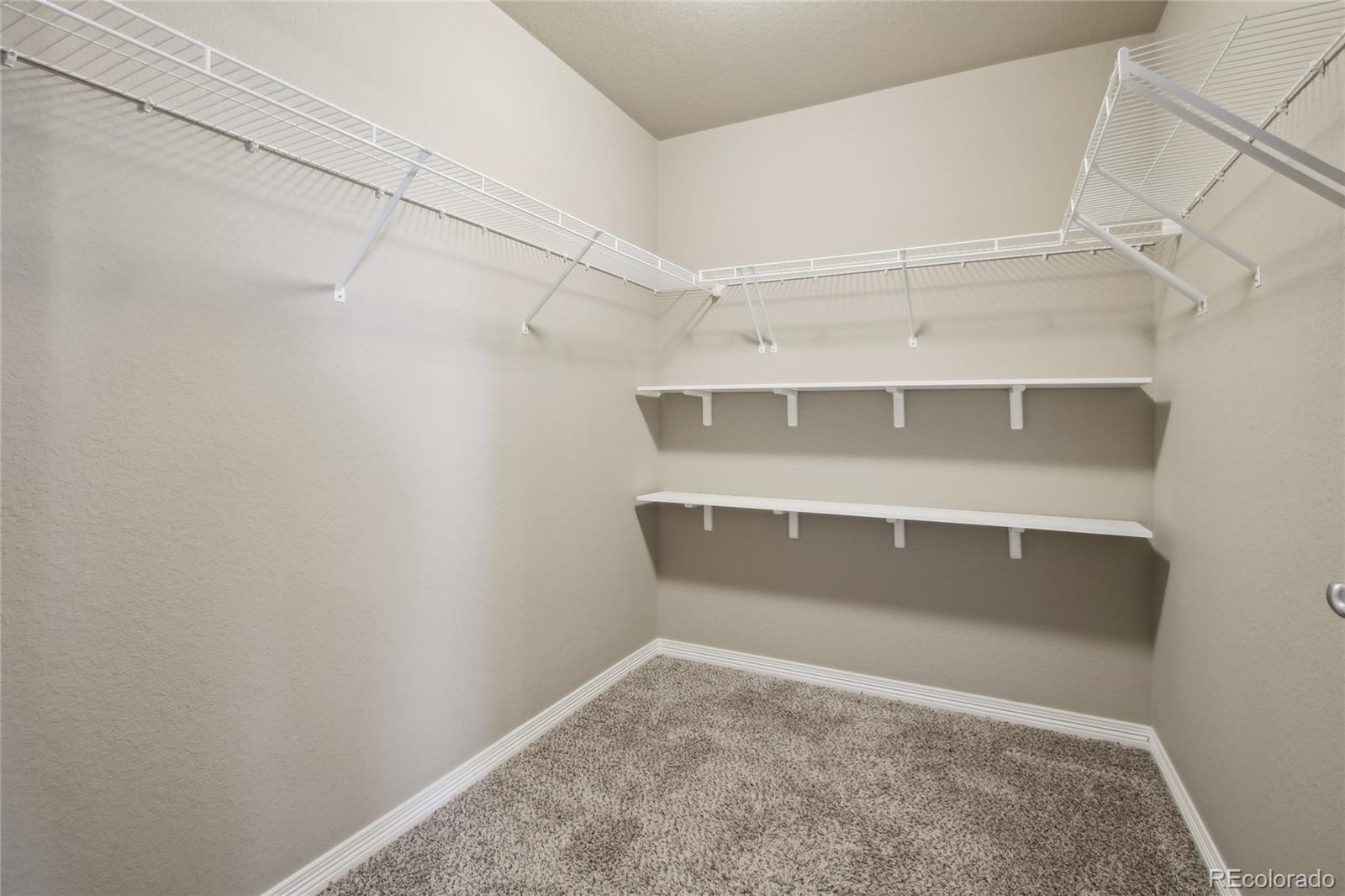 MLS Image #18 for 5593  bristow road,timnath, Colorado