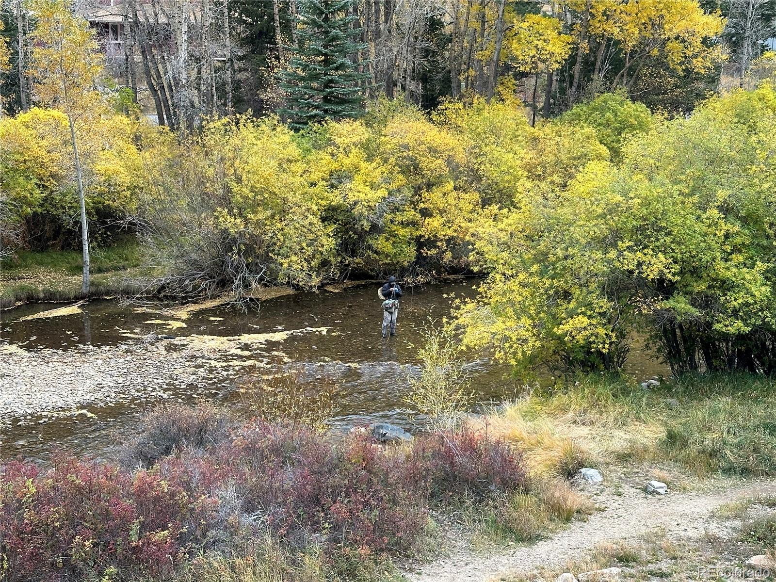 MLS Image #37 for 1890  argentine street,georgetown, Colorado
