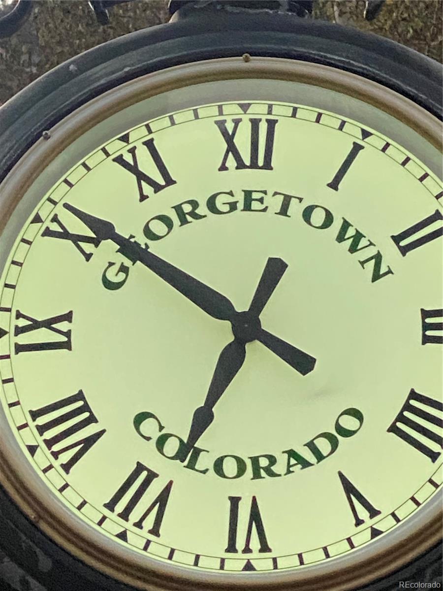 MLS Image #43 for 1890  argentine street,georgetown, Colorado