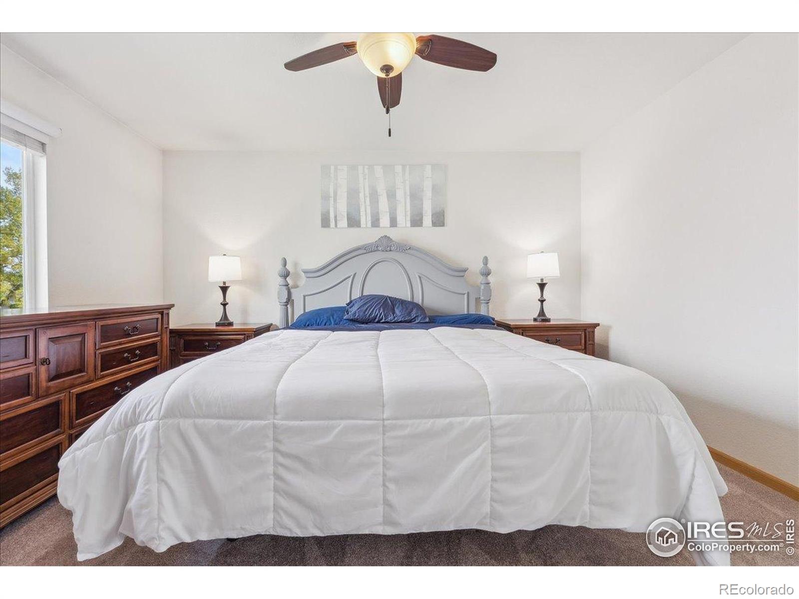 MLS Image #17 for 4056  la veta drive,loveland, Colorado