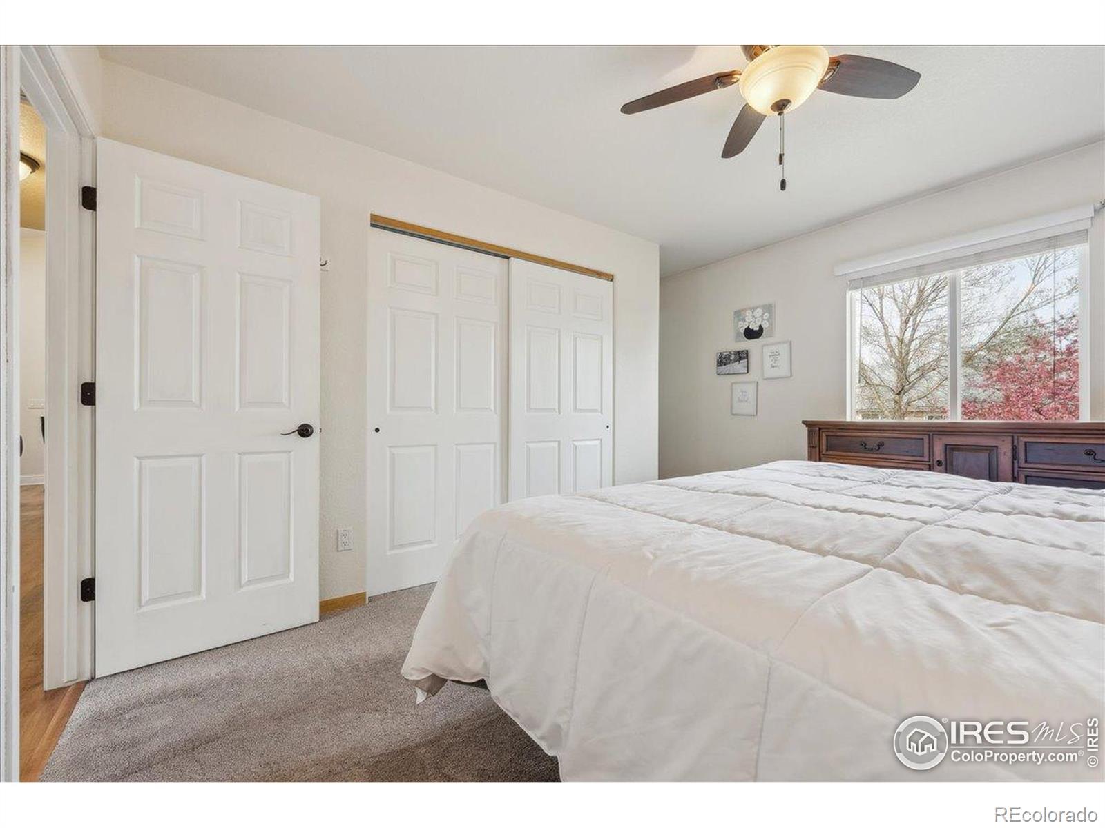 MLS Image #24 for 4056  la veta drive,loveland, Colorado