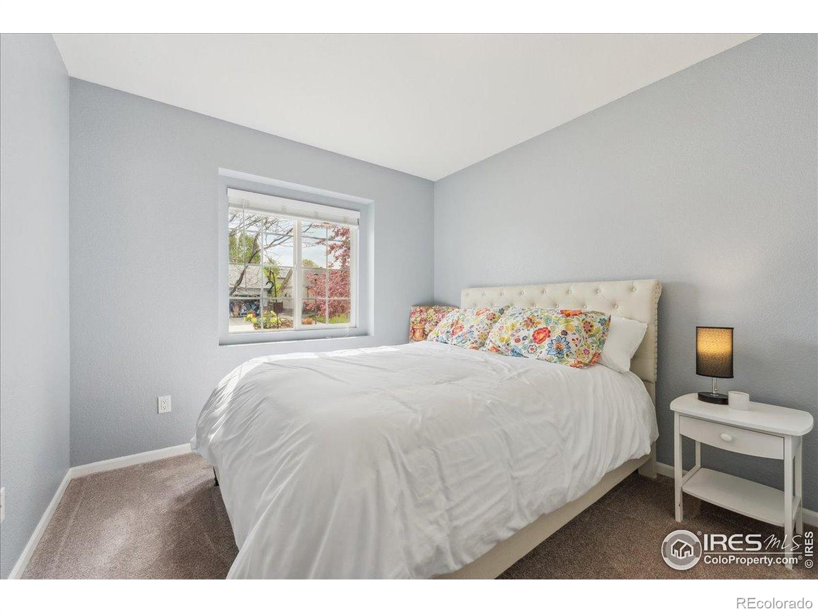 MLS Image #25 for 4056  la veta drive,loveland, Colorado