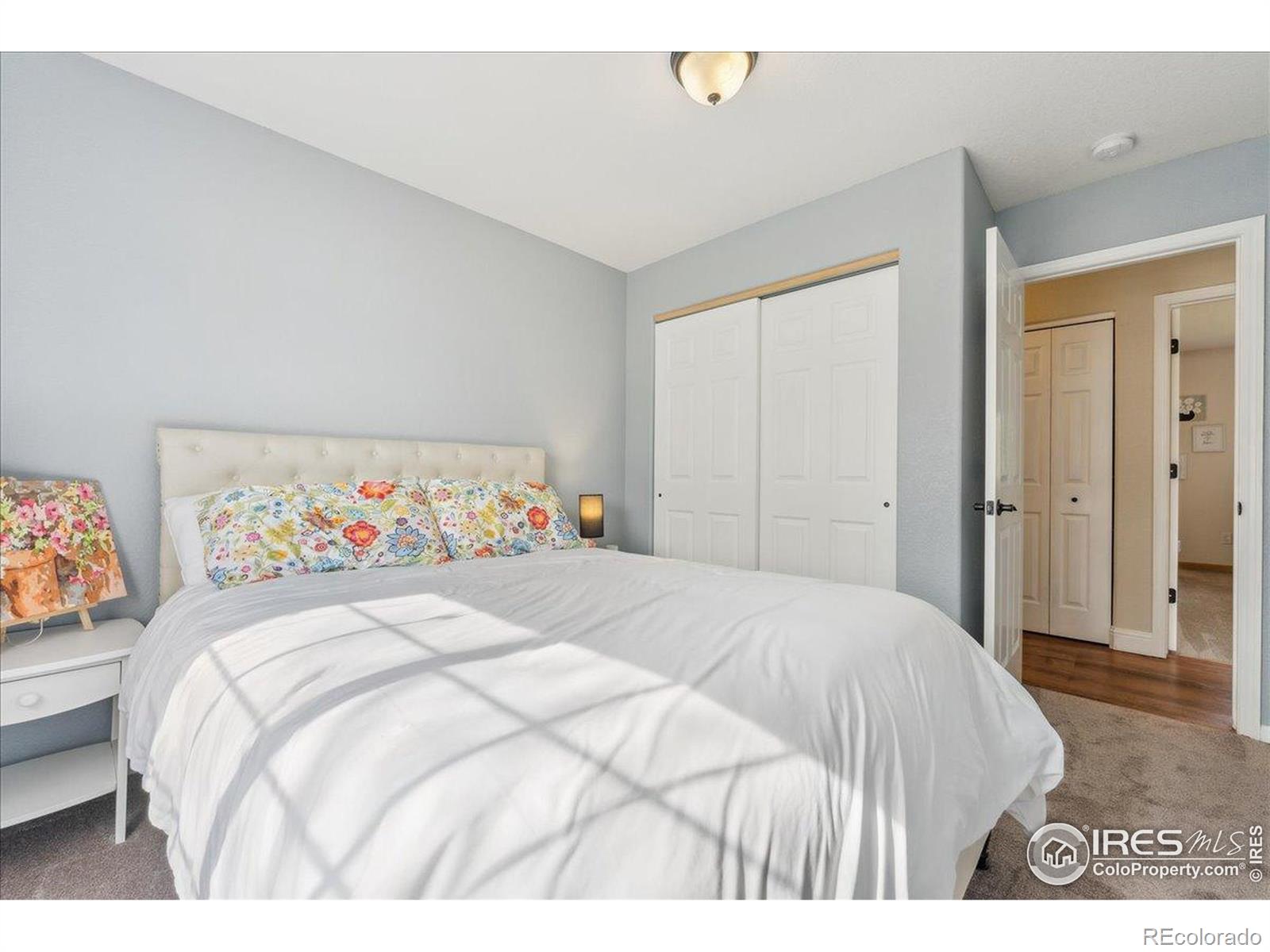 MLS Image #26 for 4056  la veta drive,loveland, Colorado
