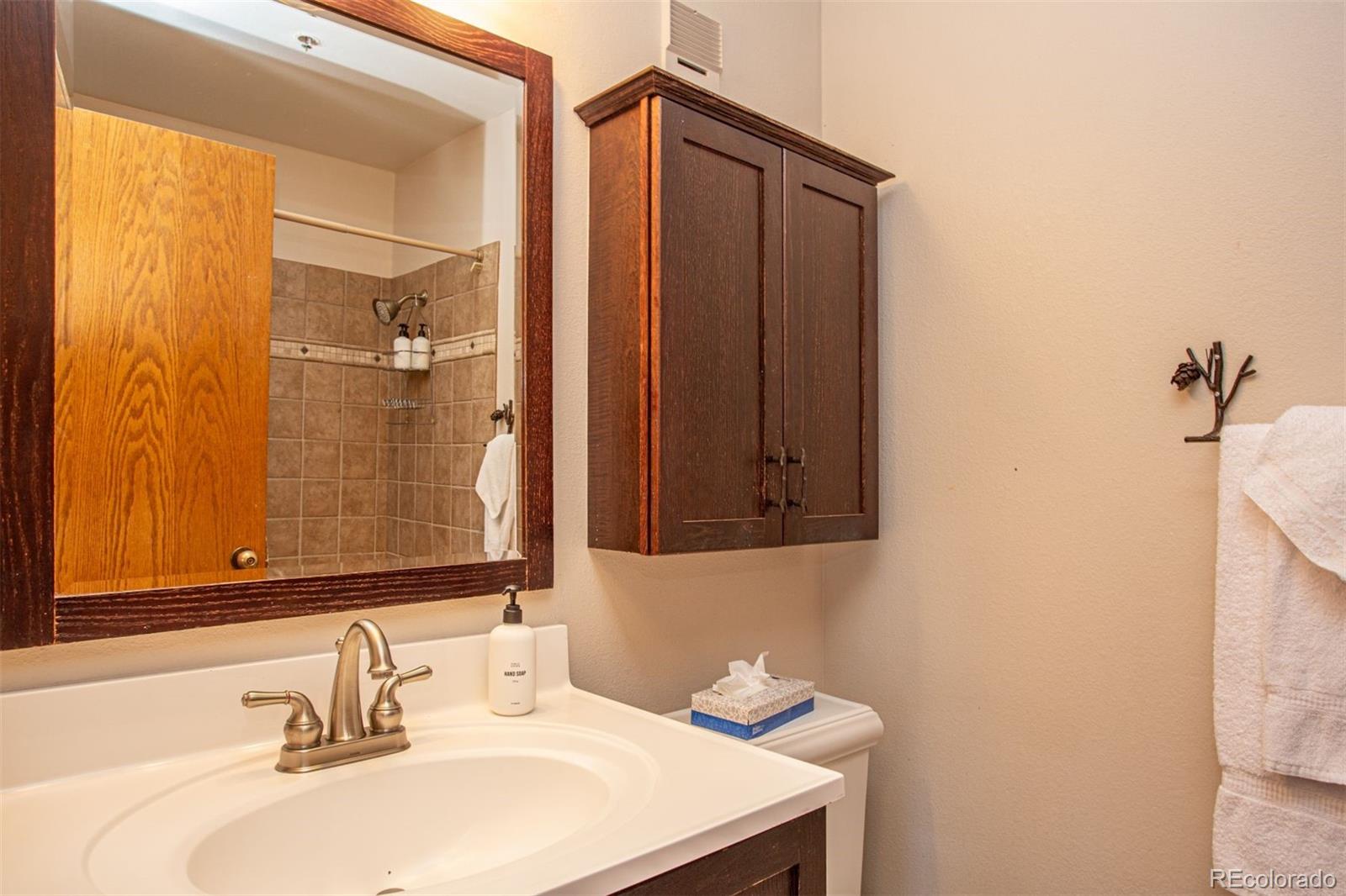 MLS Image #10 for 305 s park avenue 205,breckenridge, Colorado