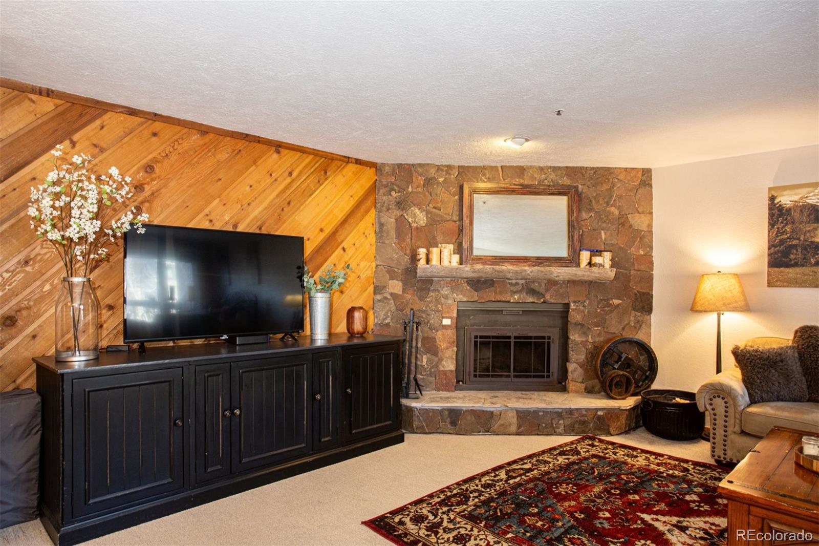 MLS Image #13 for 305 s park avenue 205,breckenridge, Colorado