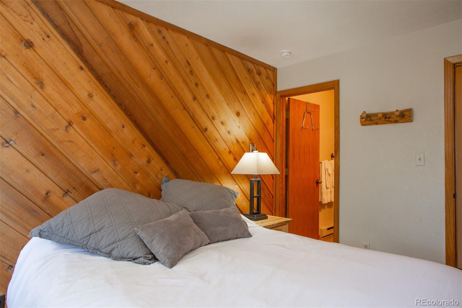 MLS Image #19 for 305 s park avenue 205,breckenridge, Colorado