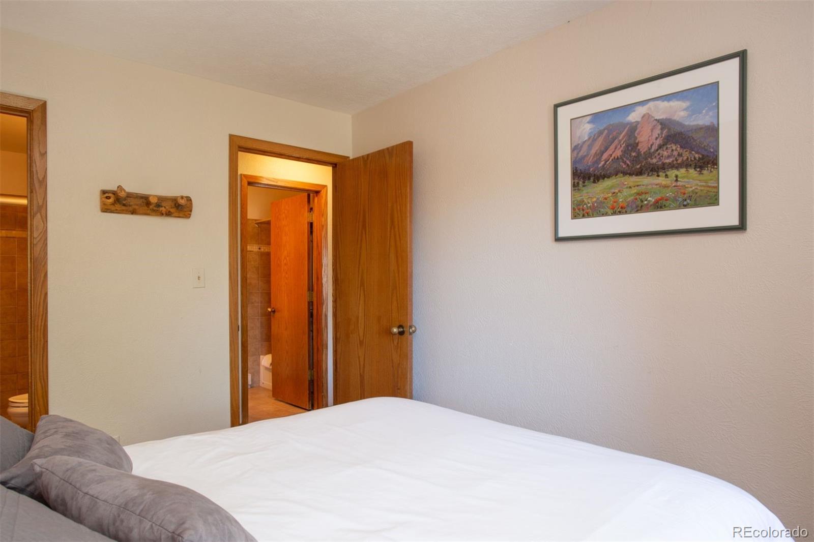 MLS Image #20 for 305 s park avenue 205,breckenridge, Colorado
