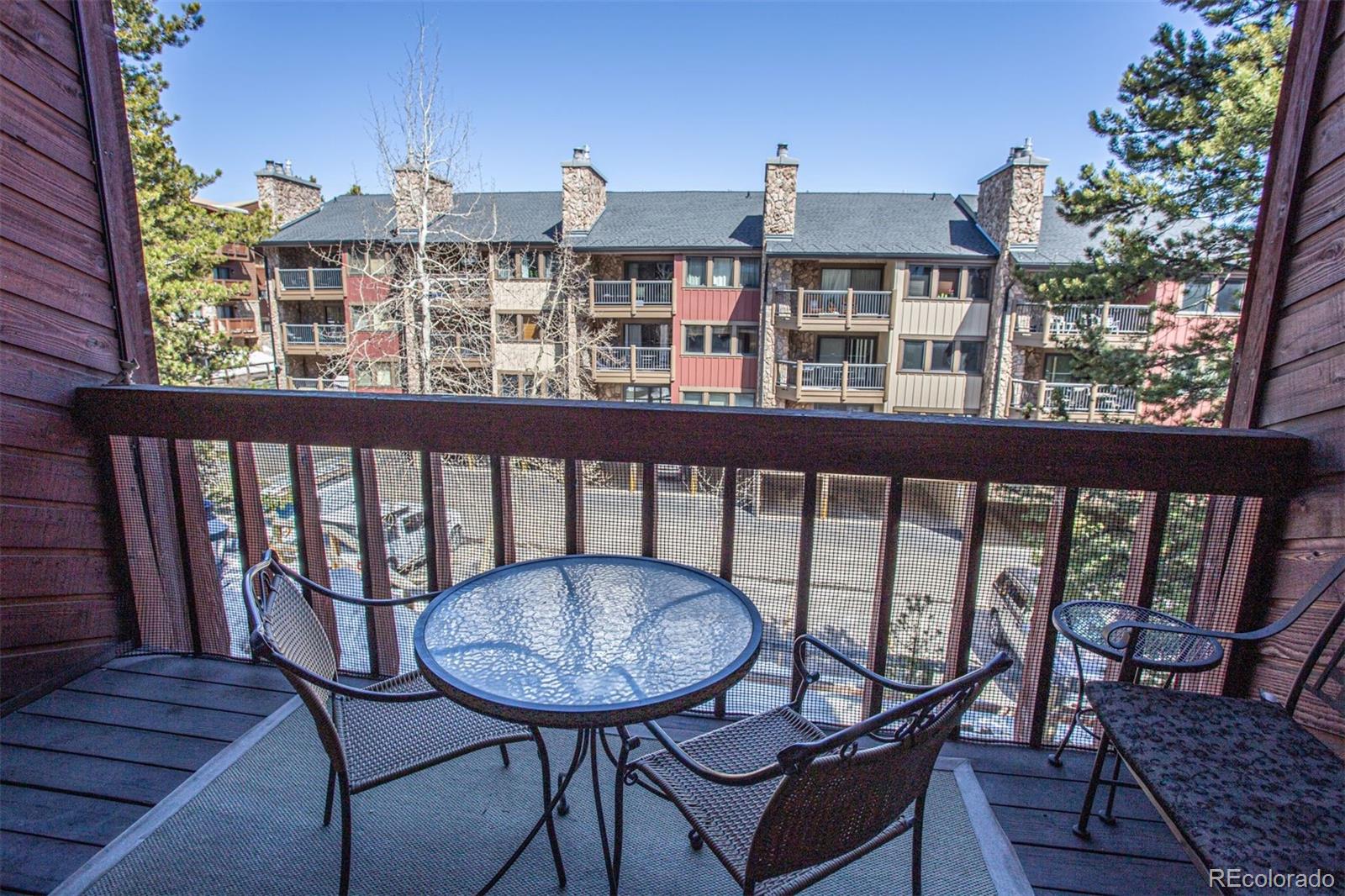 MLS Image #22 for 305 s park avenue 205,breckenridge, Colorado