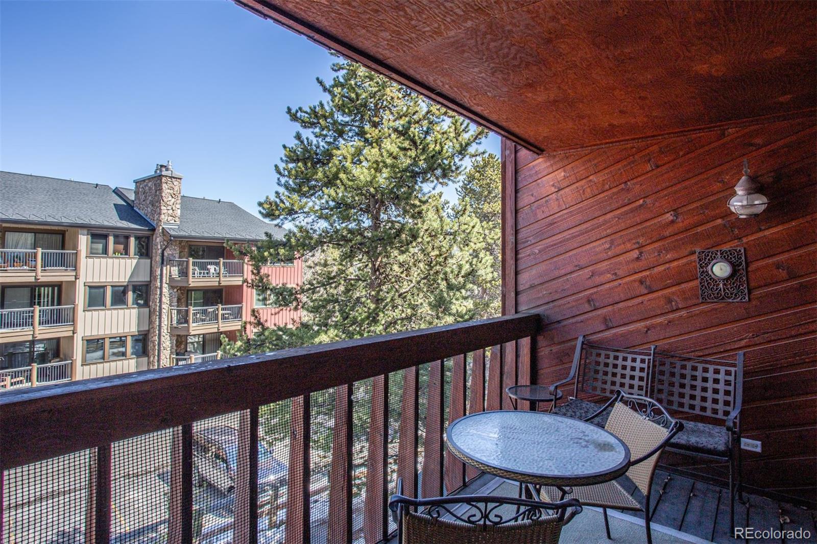 MLS Image #23 for 305 s park avenue 205,breckenridge, Colorado