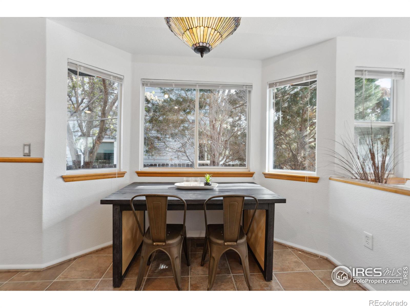 MLS Image #11 for 1181  dover way,broomfield, Colorado