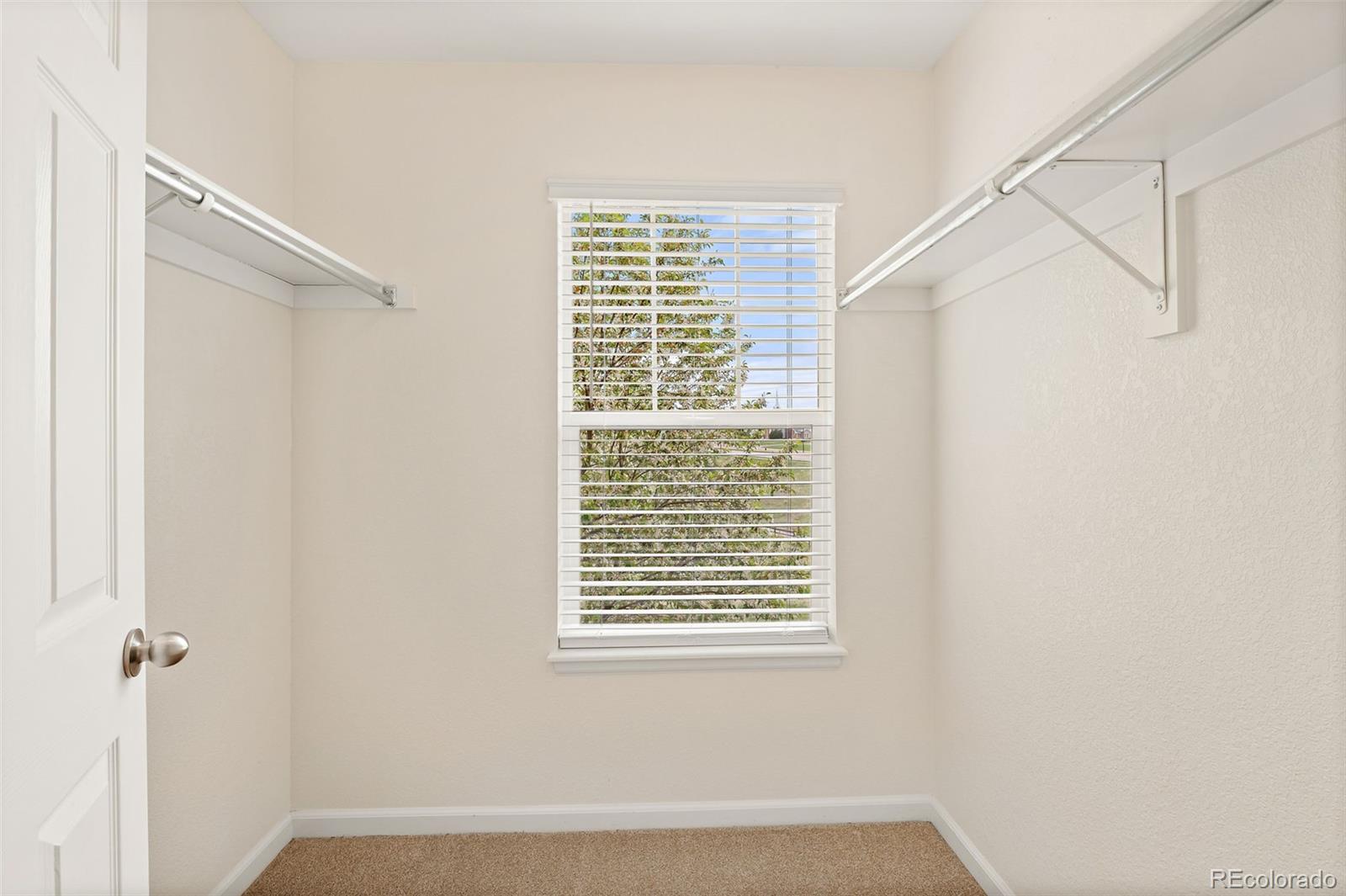 MLS Image #18 for 3760  ute mountain trail ,castle rock, Colorado