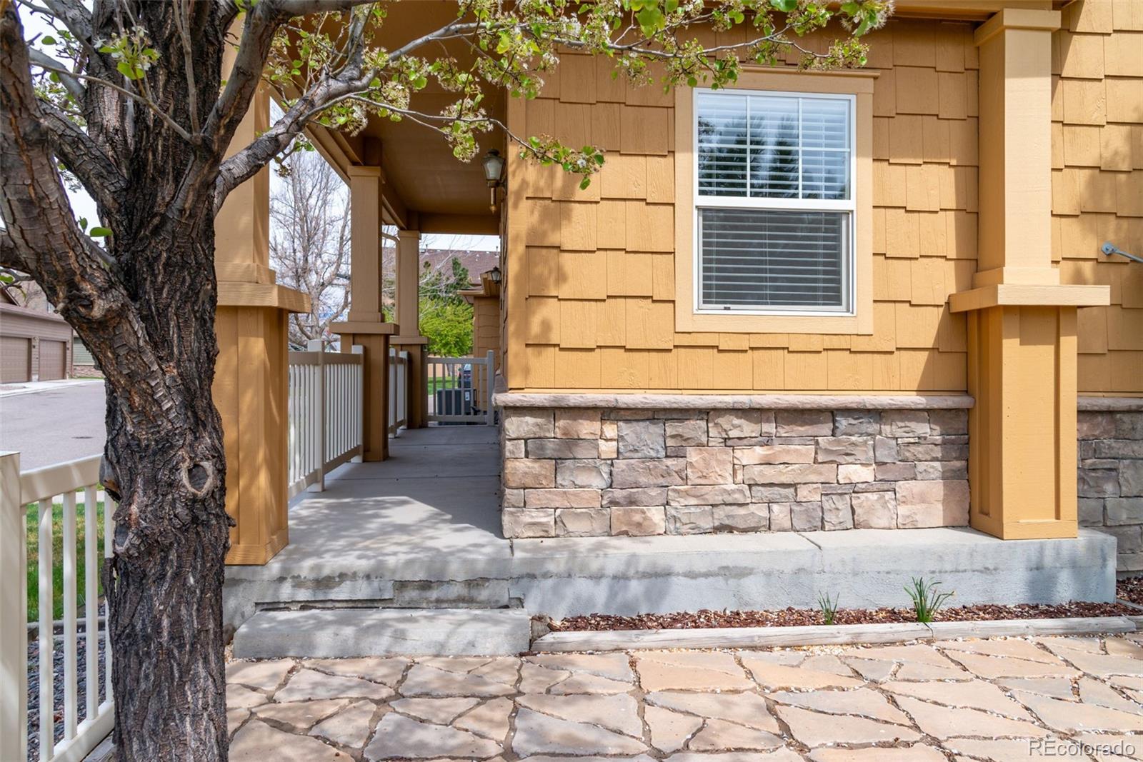 MLS Image #25 for 3760  ute mountain trail ,castle rock, Colorado