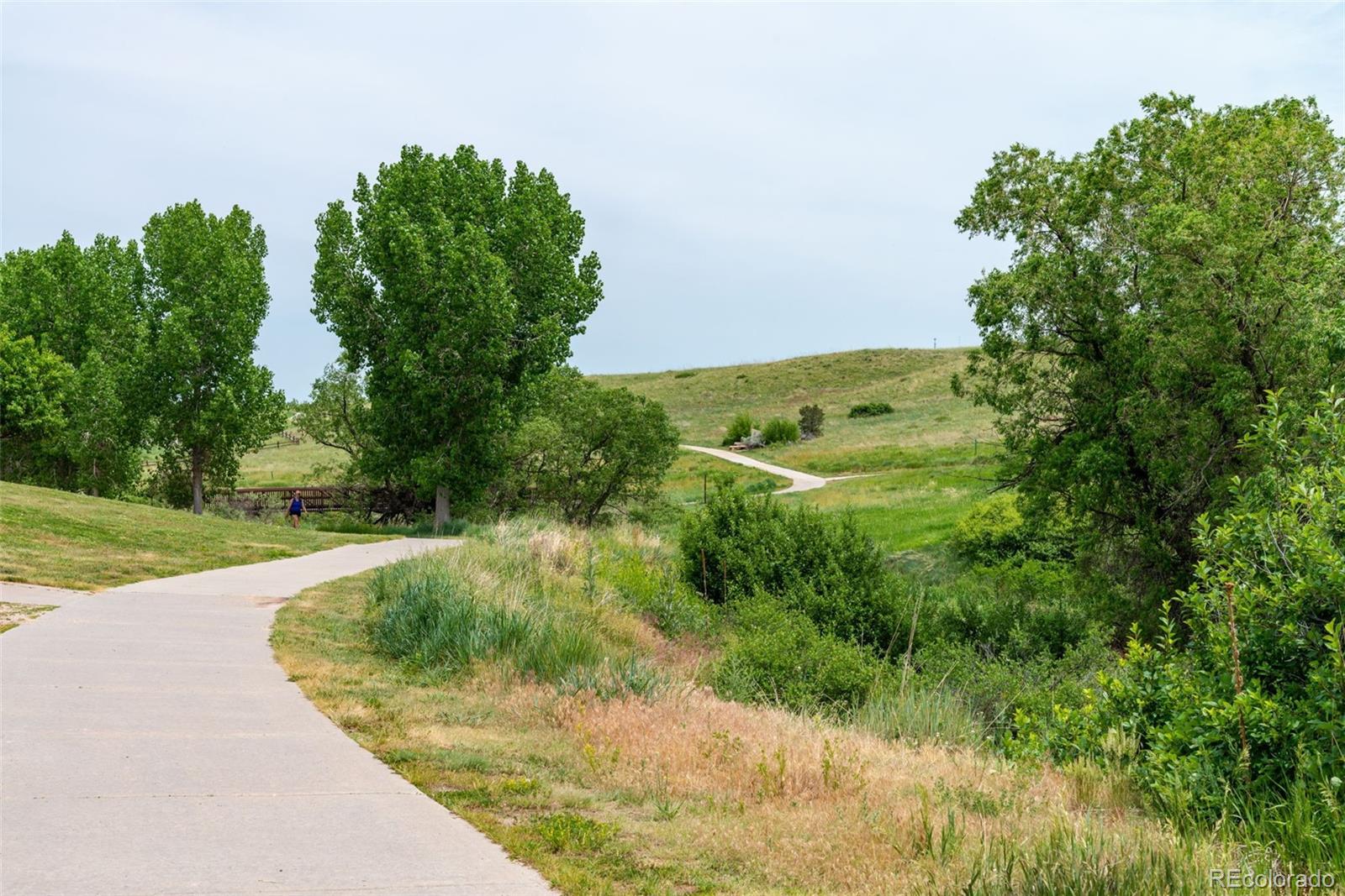 MLS Image #31 for 3760  ute mountain trail ,castle rock, Colorado