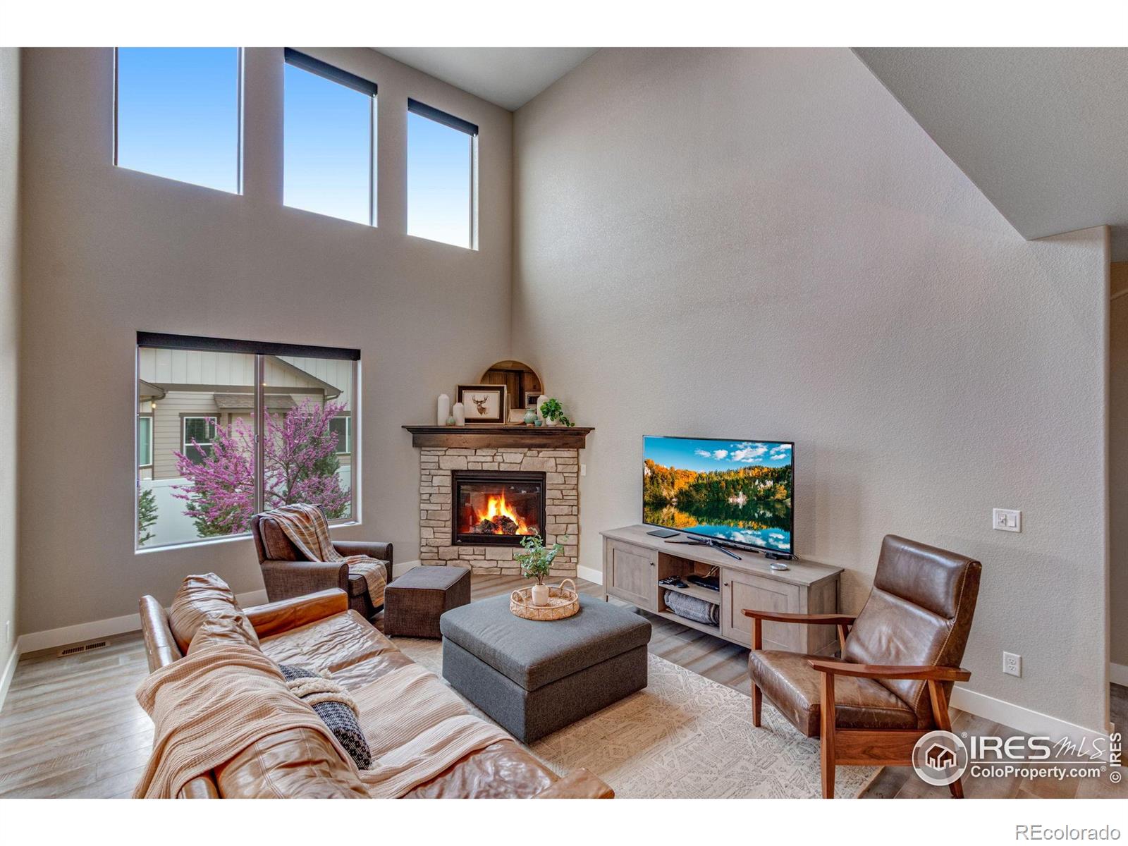 MLS Image #12 for 6093  carmon drive,windsor, Colorado