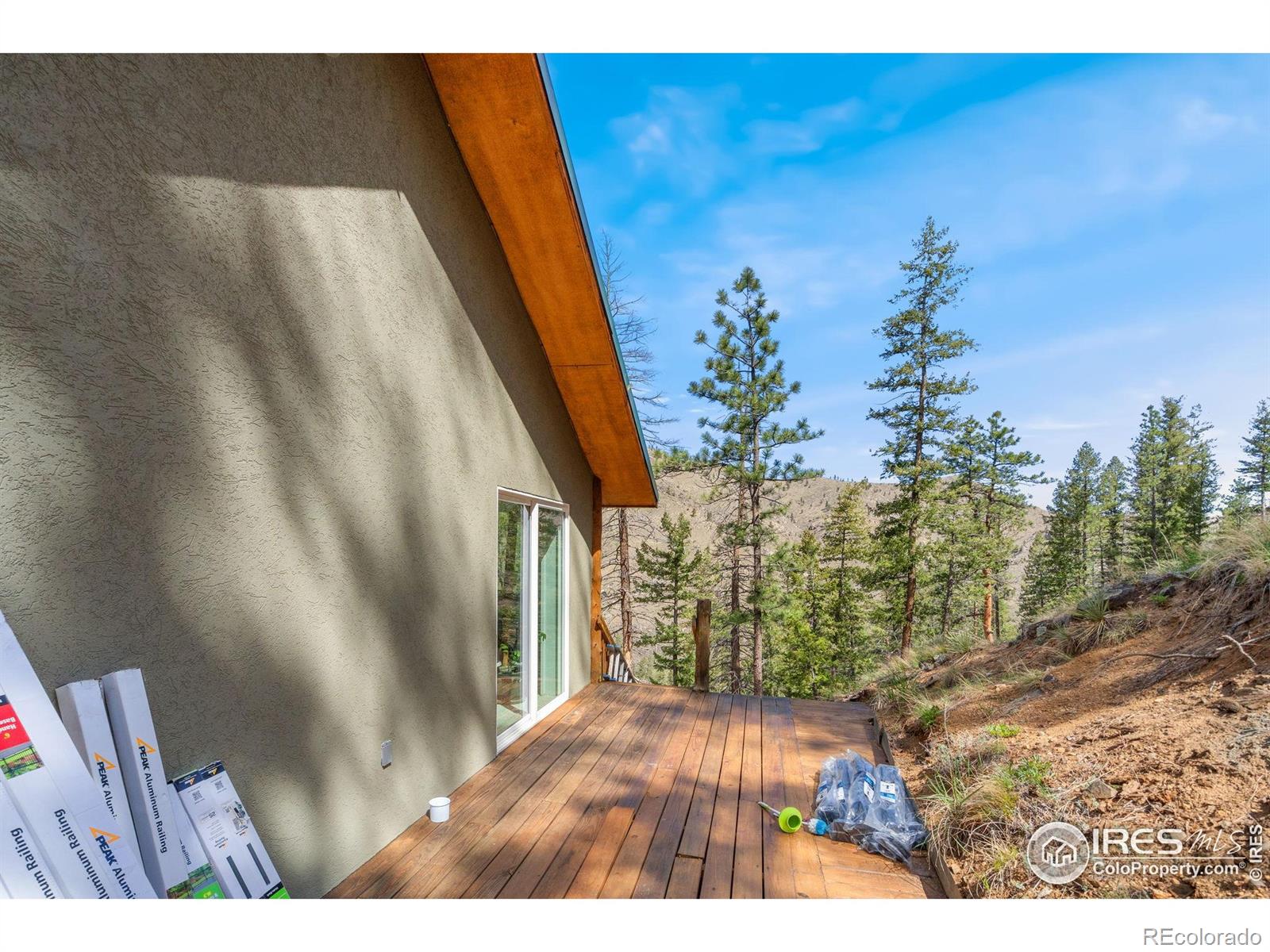 MLS Image #10 for 264  running river way,bellvue, Colorado