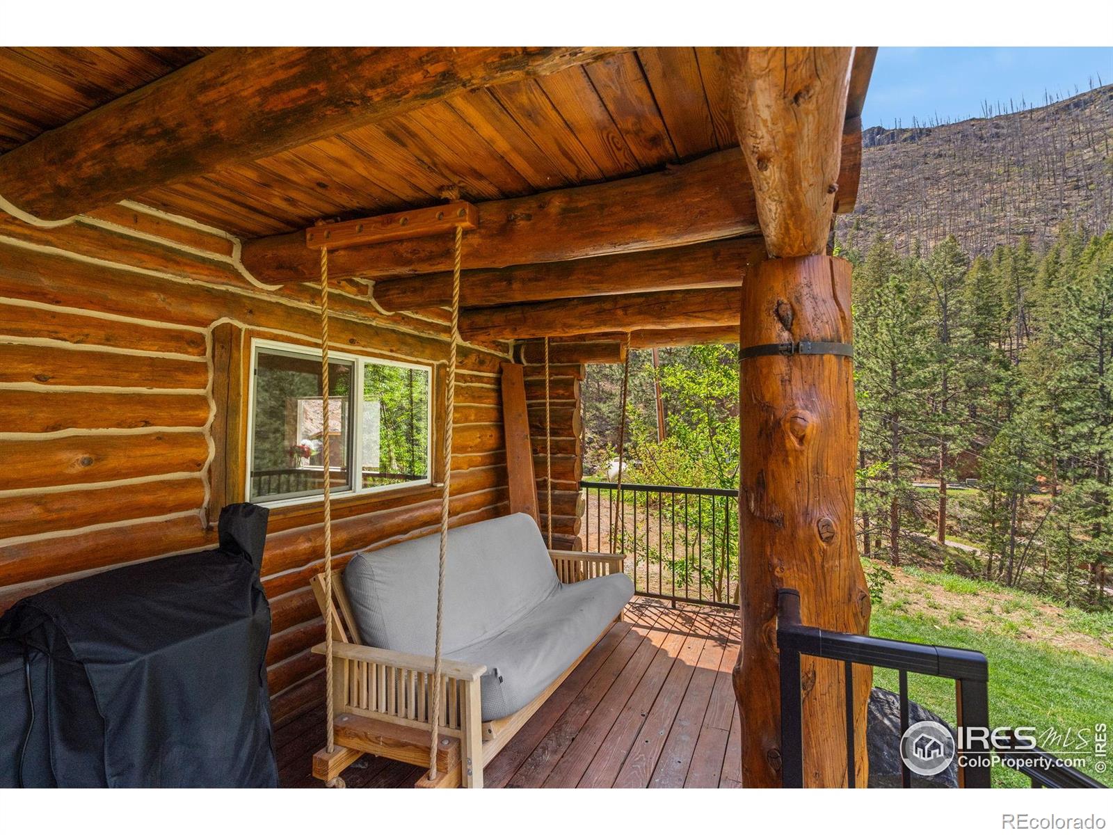 MLS Image #21 for 264  running river way,bellvue, Colorado