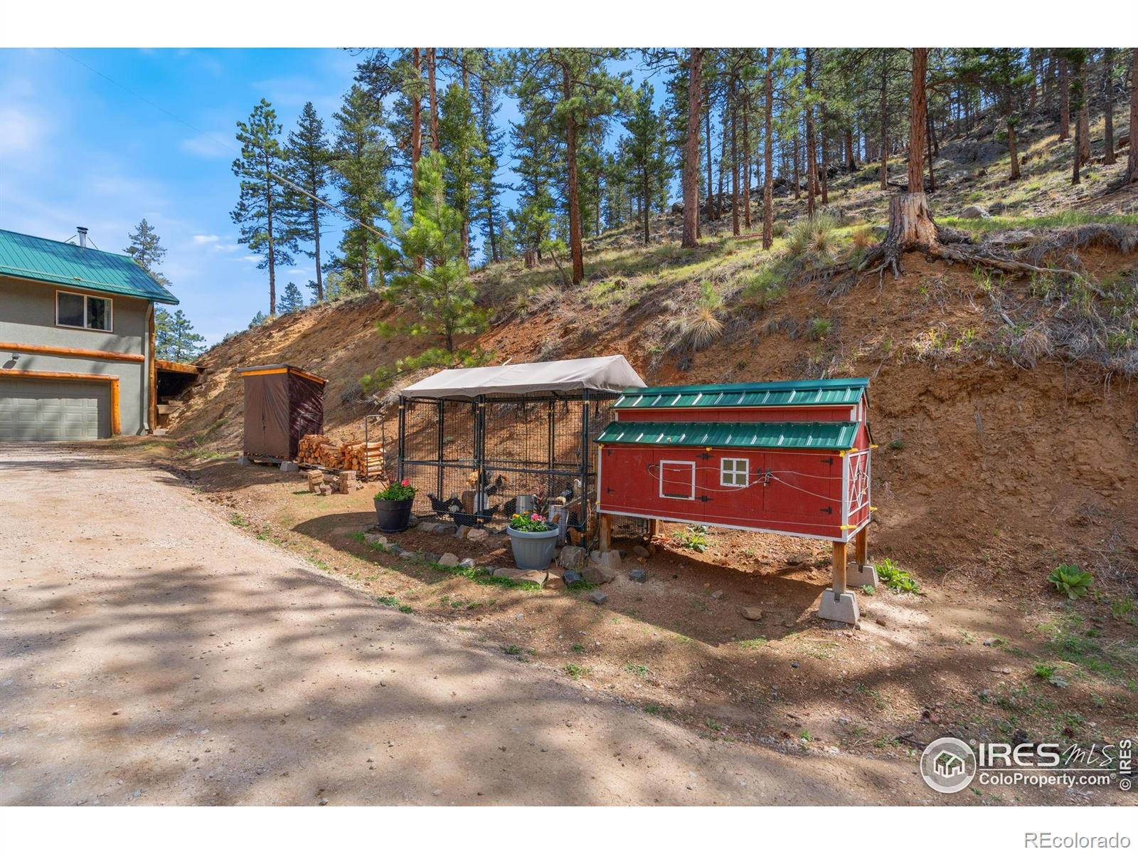 MLS Image #24 for 264  running river way,bellvue, Colorado