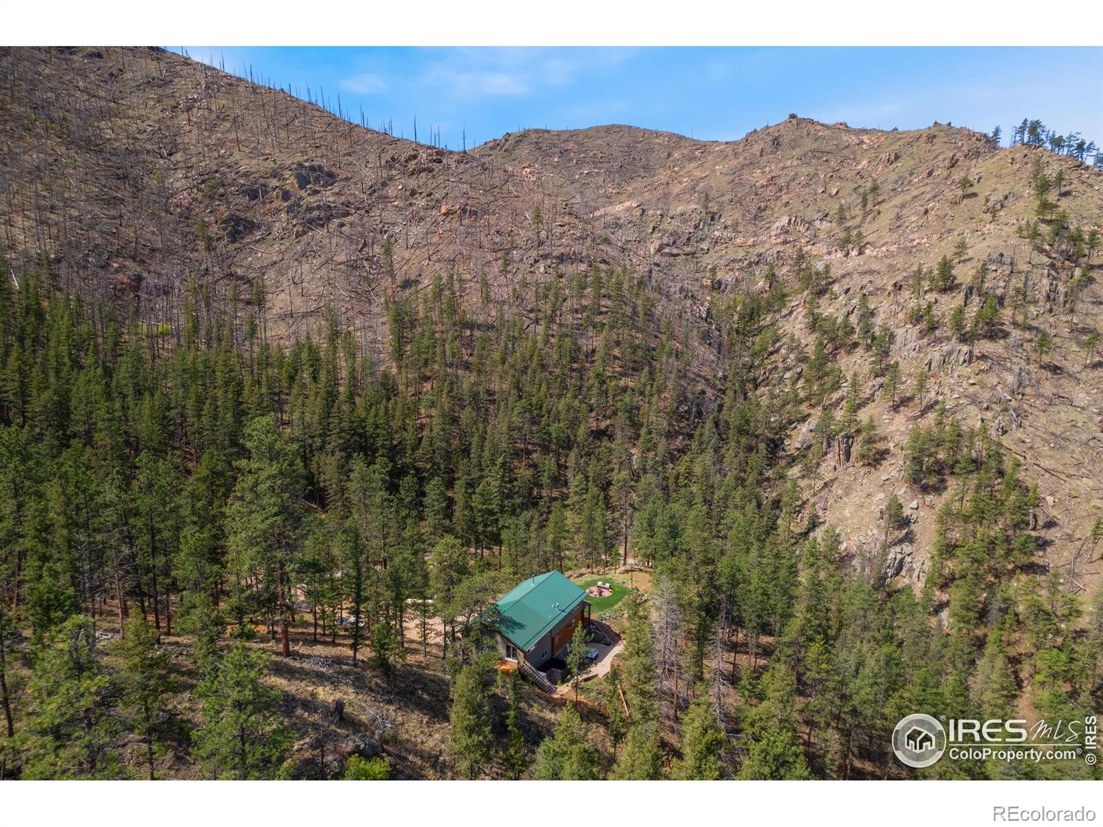 MLS Image #27 for 264  running river way,bellvue, Colorado