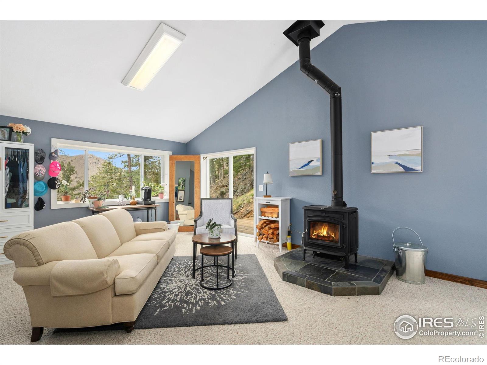 MLS Image #9 for 264  running river way,bellvue, Colorado