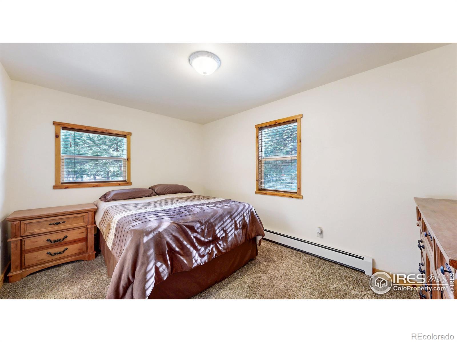 MLS Image #17 for 7  rock canyon road,drake, Colorado