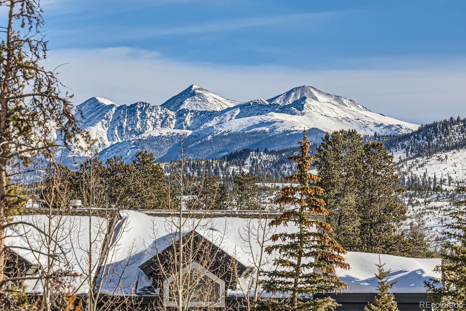 MLS Image #22 for 309  galena street,frisco, Colorado