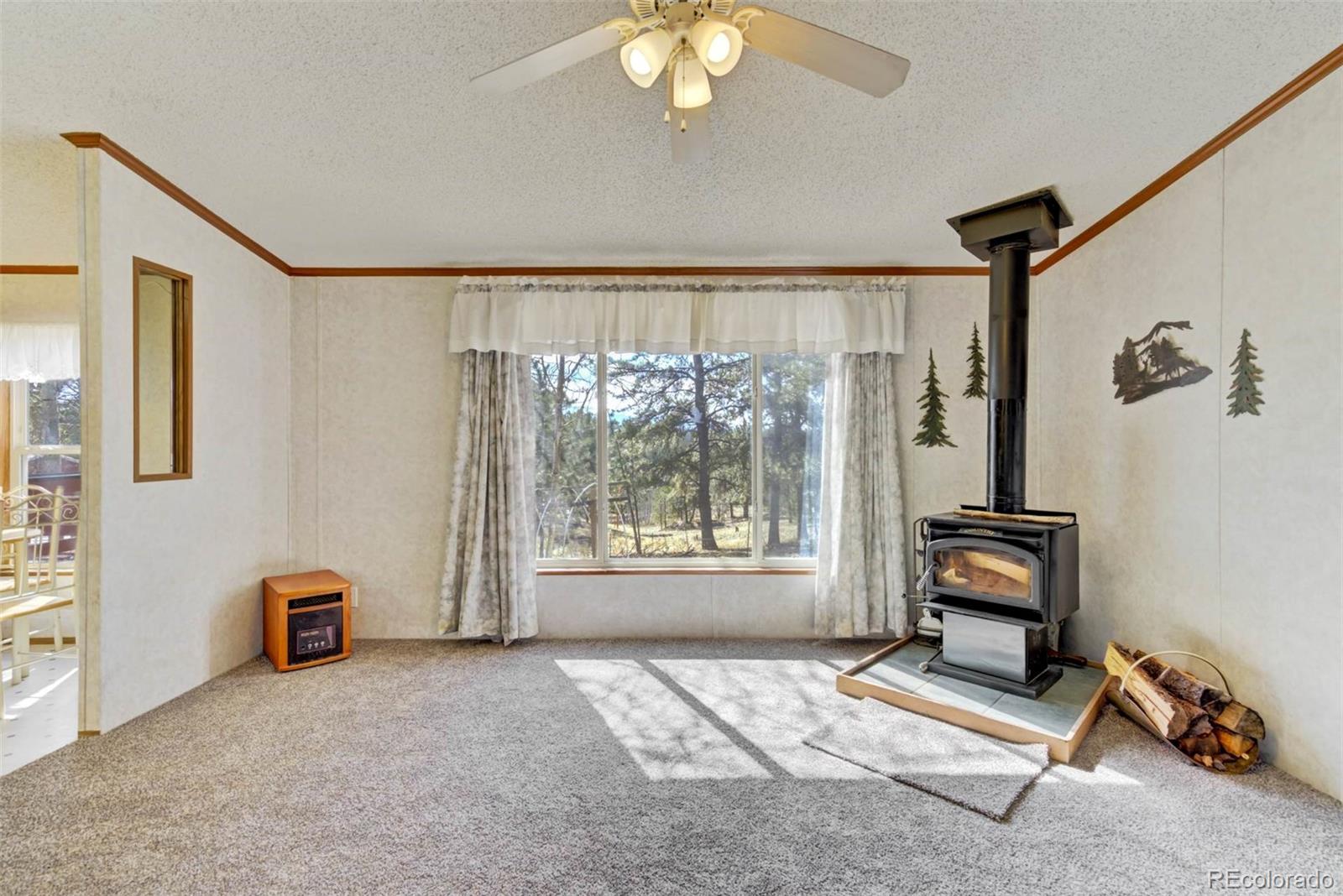 MLS Image #5 for 1360  kiowa road,florissant, Colorado