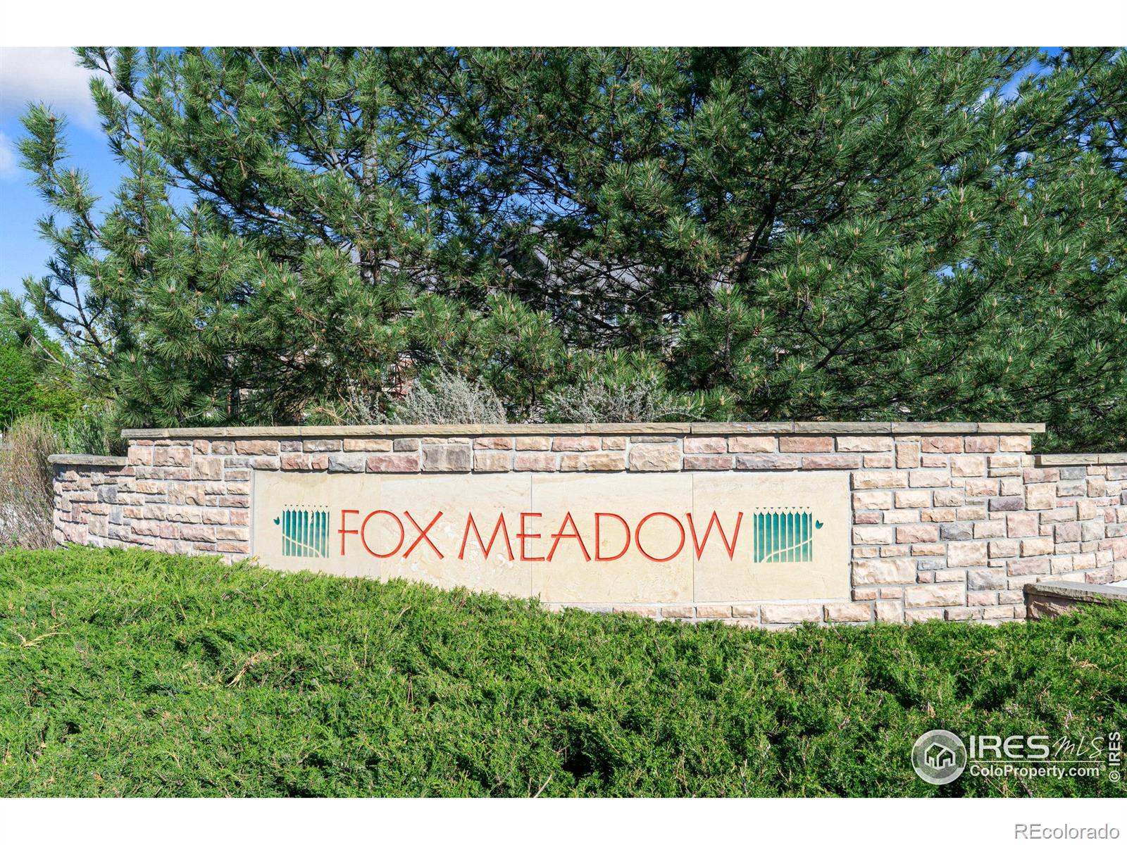 MLS Image #1 for 804  summer hawk drive,longmont, Colorado