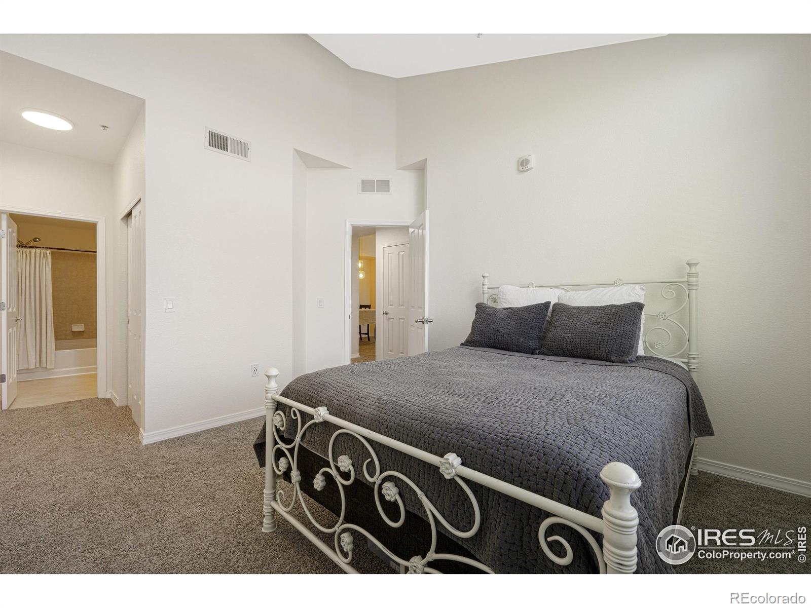 MLS Image #10 for 804  summer hawk drive,longmont, Colorado