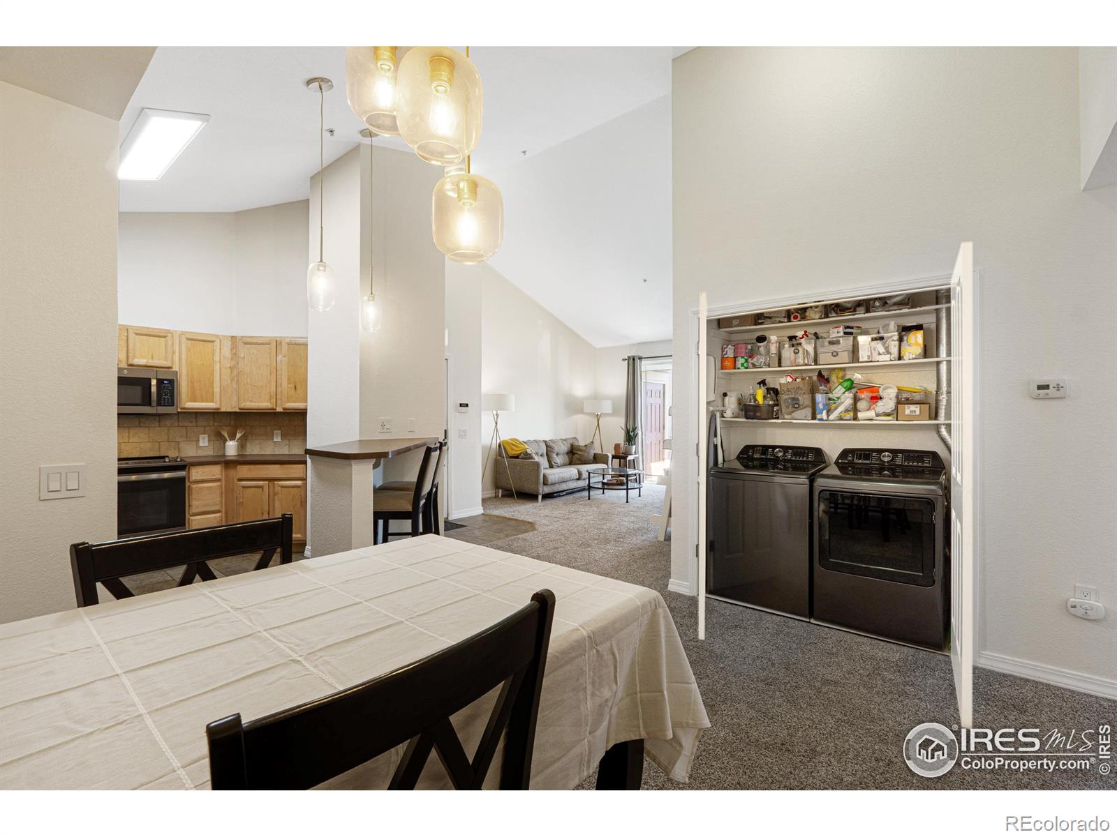 MLS Image #8 for 804  summer hawk drive,longmont, Colorado