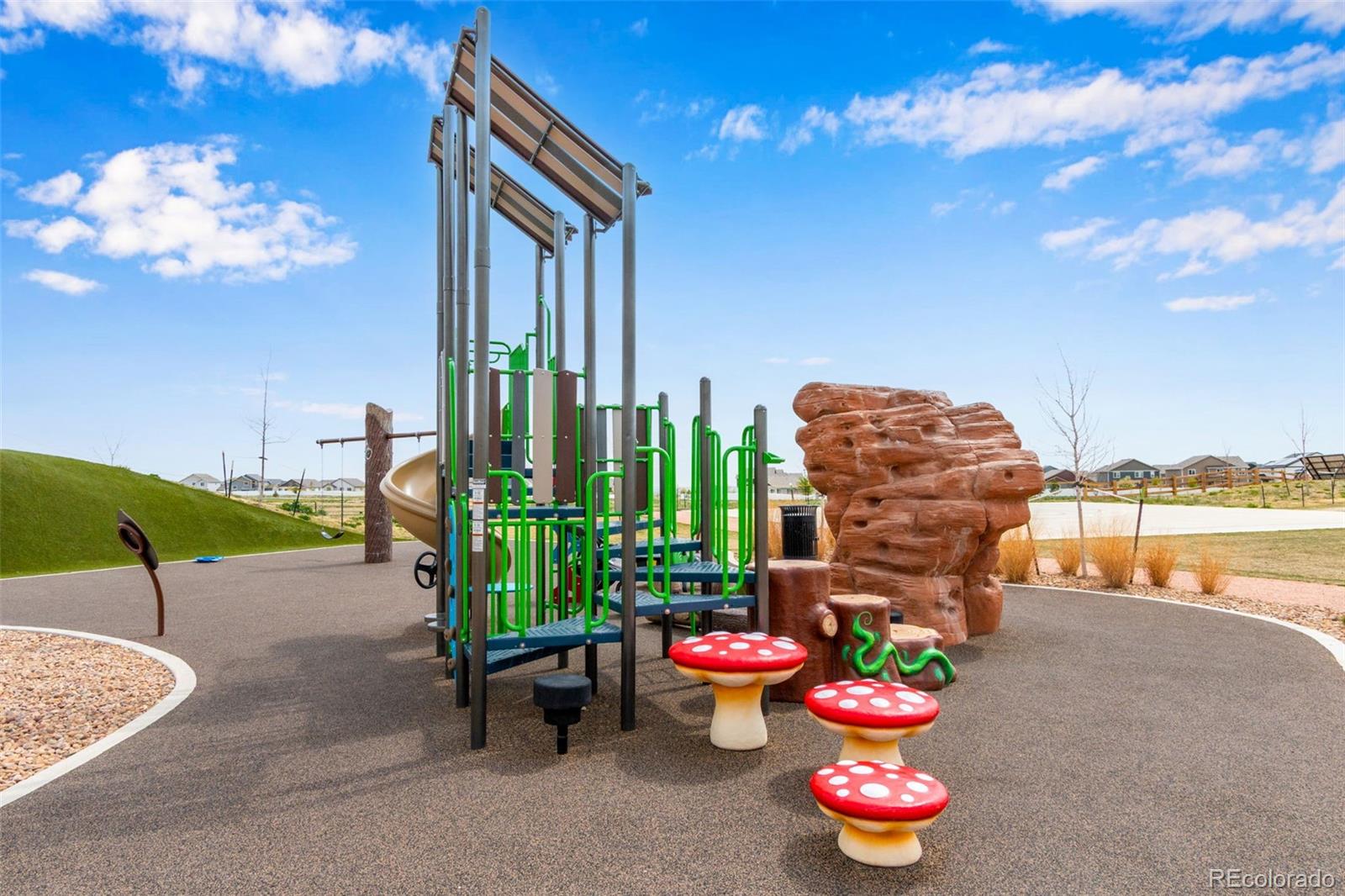 MLS Image #32 for 6093  carmon drive,windsor, Colorado