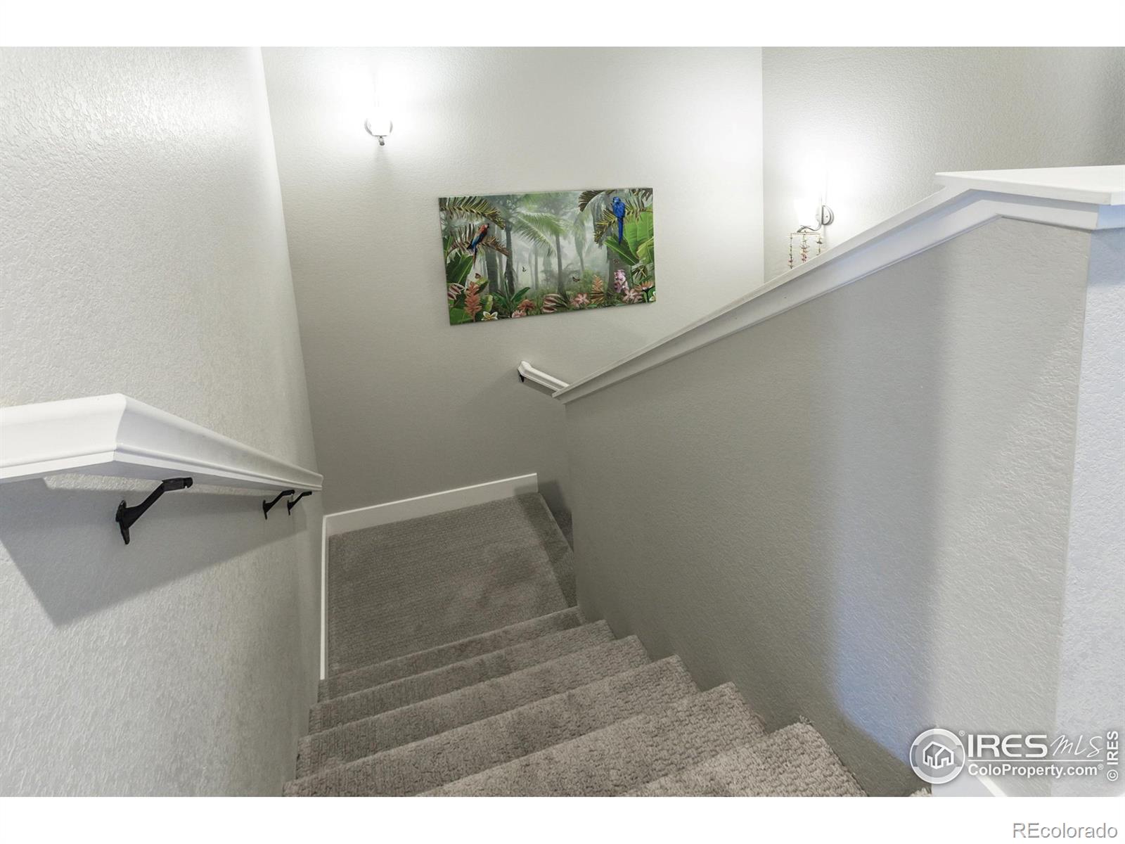 MLS Image #19 for 6948  storybrook drive,timnath, Colorado