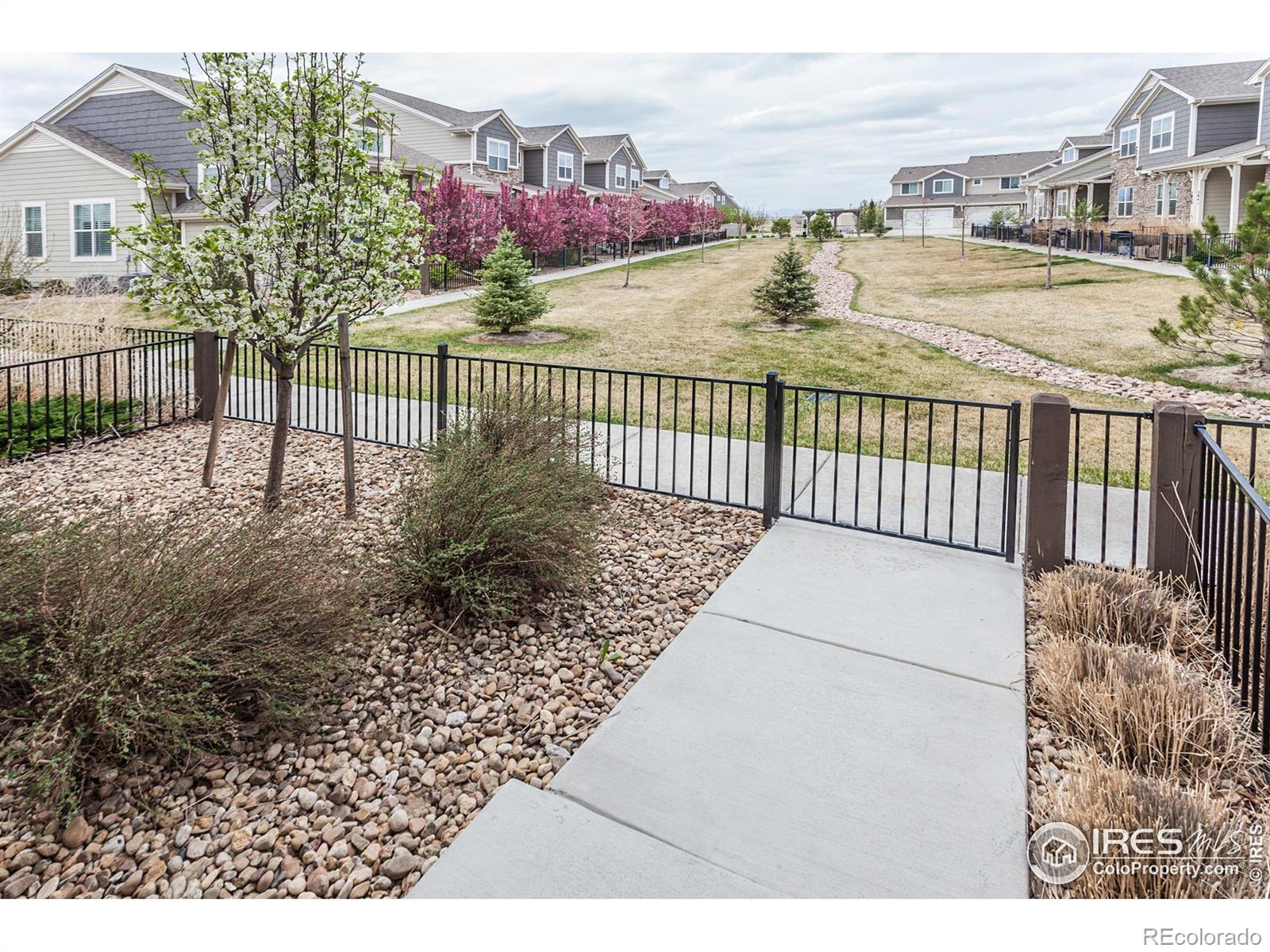 MLS Image #3 for 6948  storybrook drive,timnath, Colorado