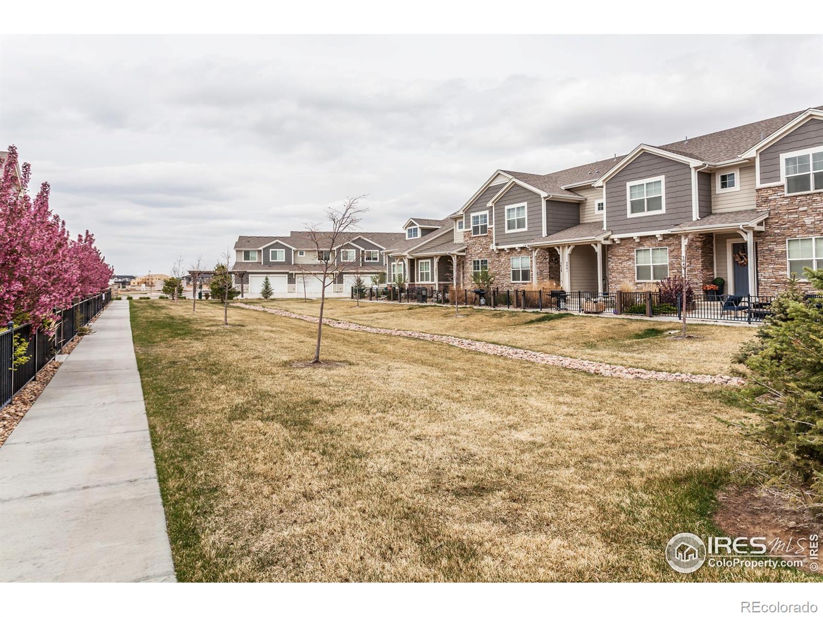 MLS Image #34 for 6948  storybrook drive,timnath, Colorado