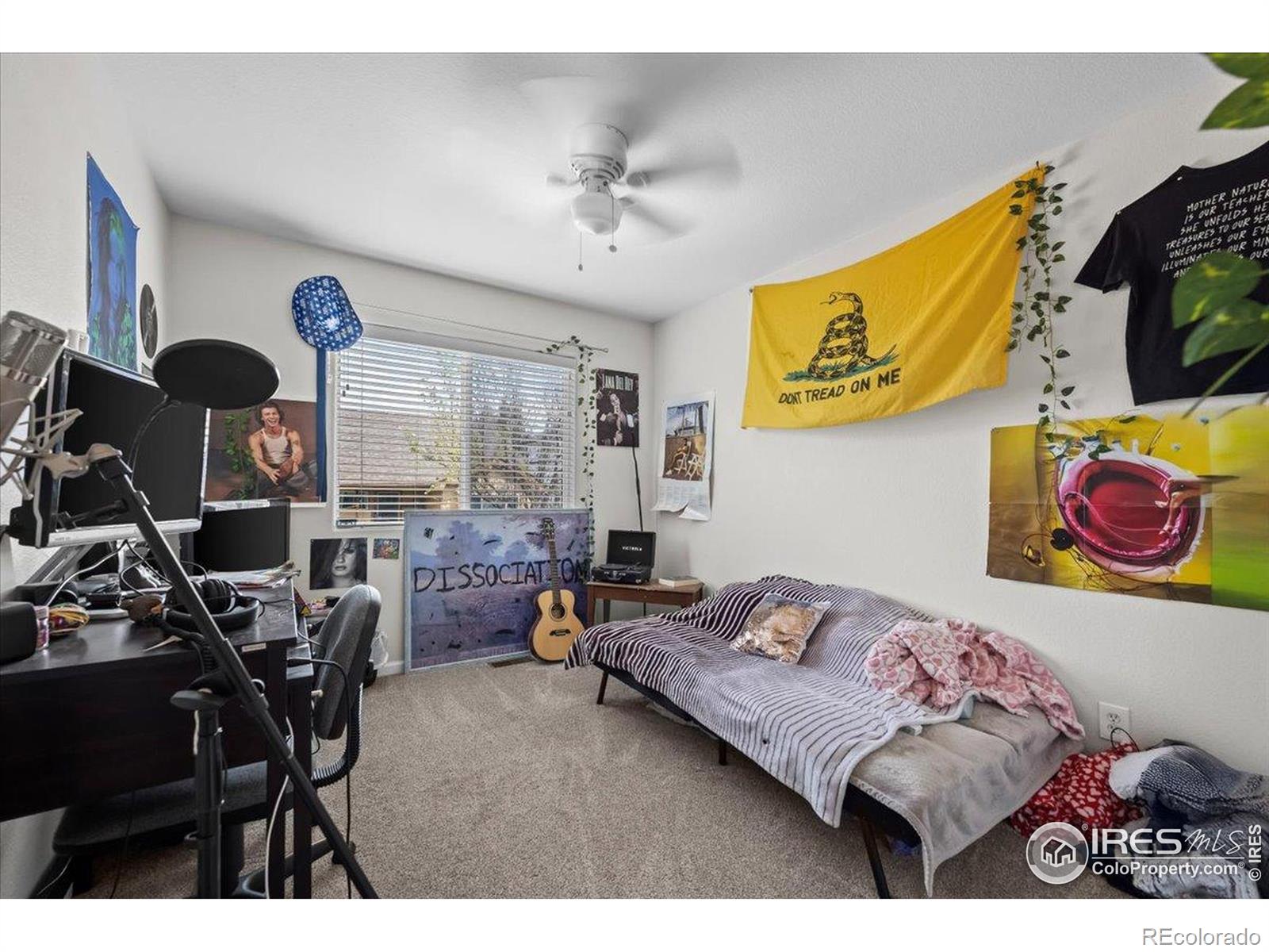 MLS Image #14 for 11296  daisy court,firestone, Colorado
