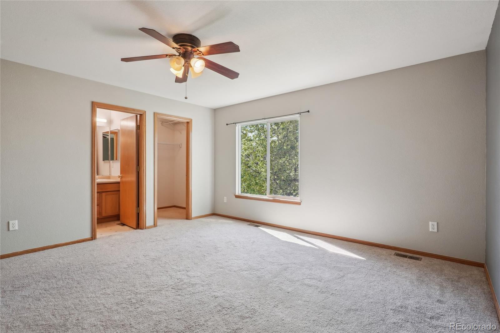 MLS Image #21 for 1481  box prairie circle,loveland, Colorado