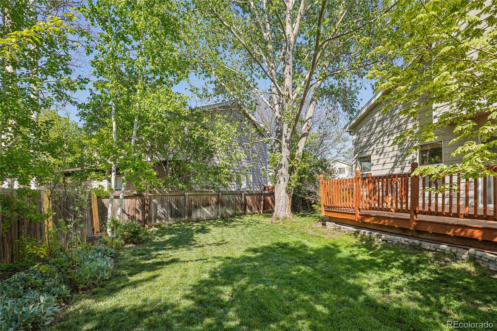 MLS Image #38 for 1481  box prairie circle,loveland, Colorado