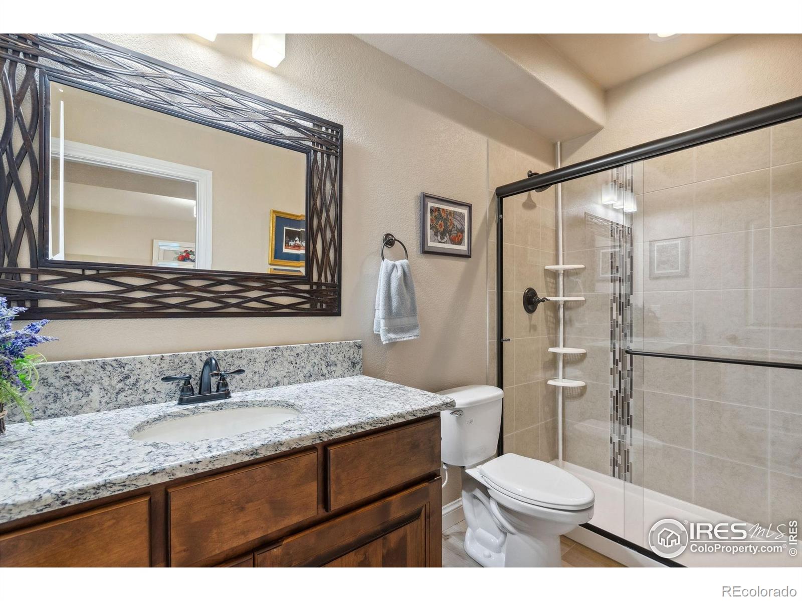 MLS Image #27 for 39884  ridgecrest court,severance, Colorado