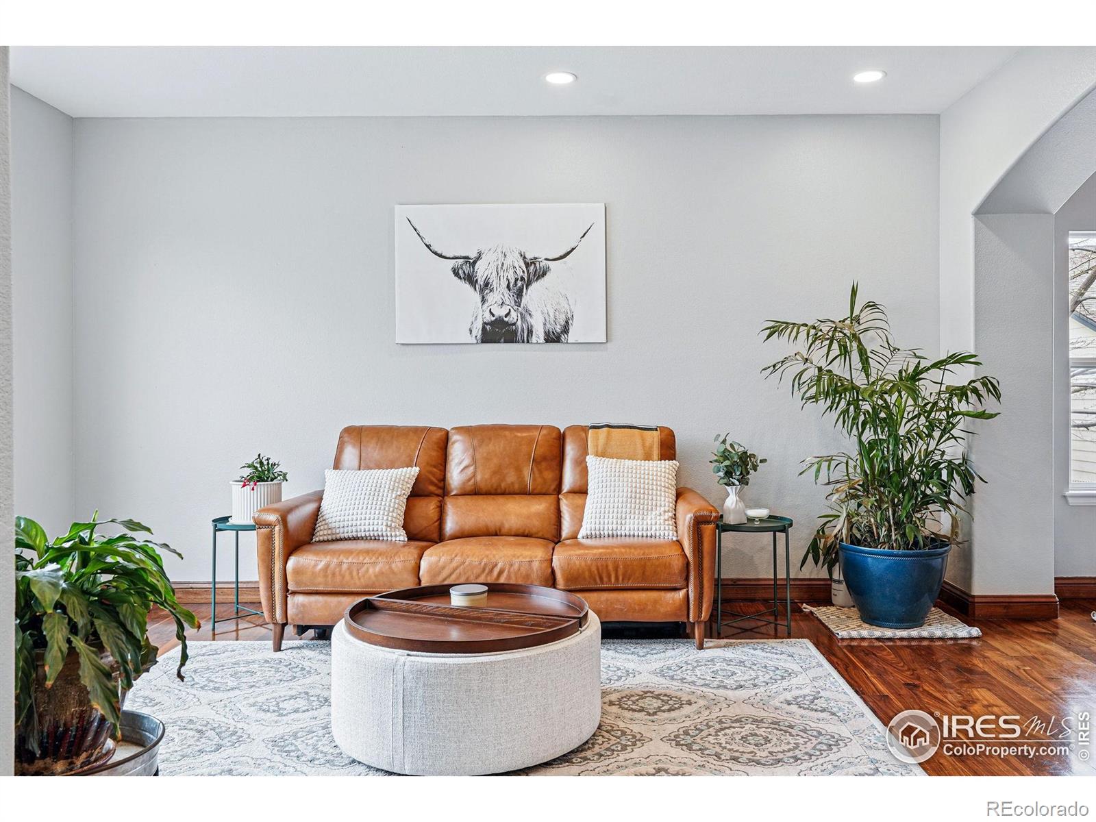 Report Image for 505  Saint Andrews Drive,Longmont, Colorado